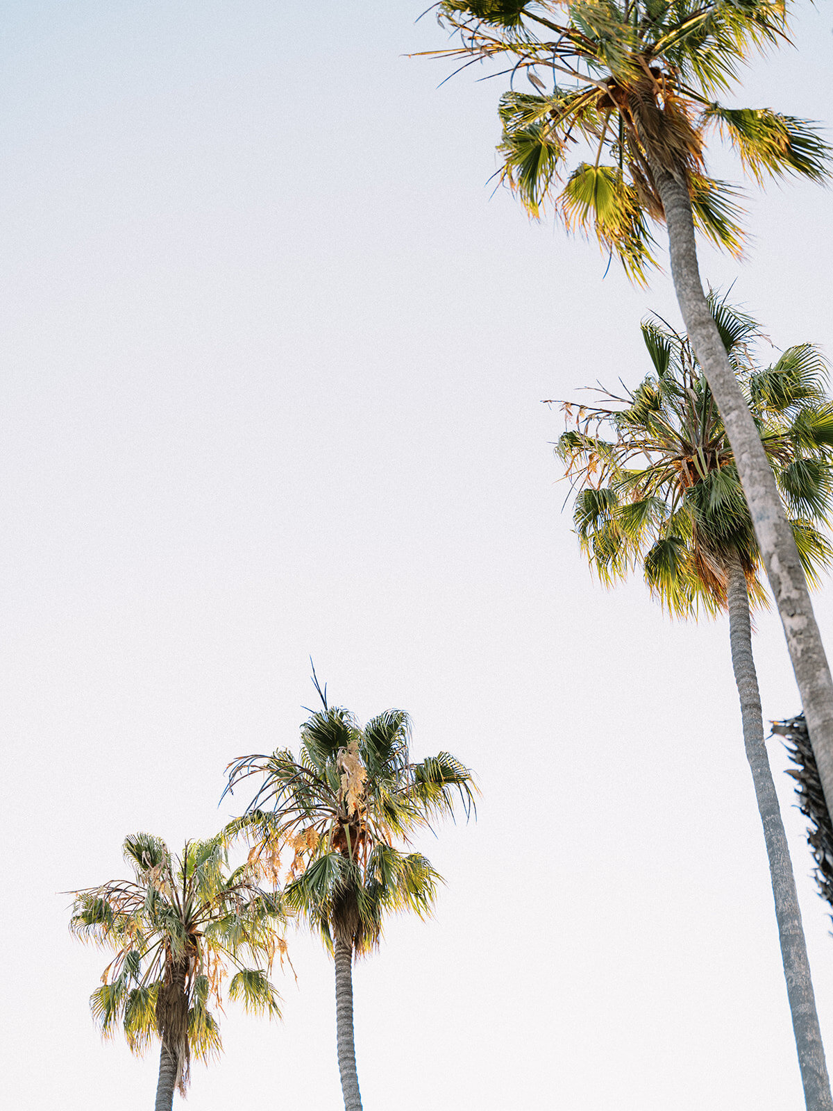 Jessie + Garrett Sailboat Engagement-117_websize_websize