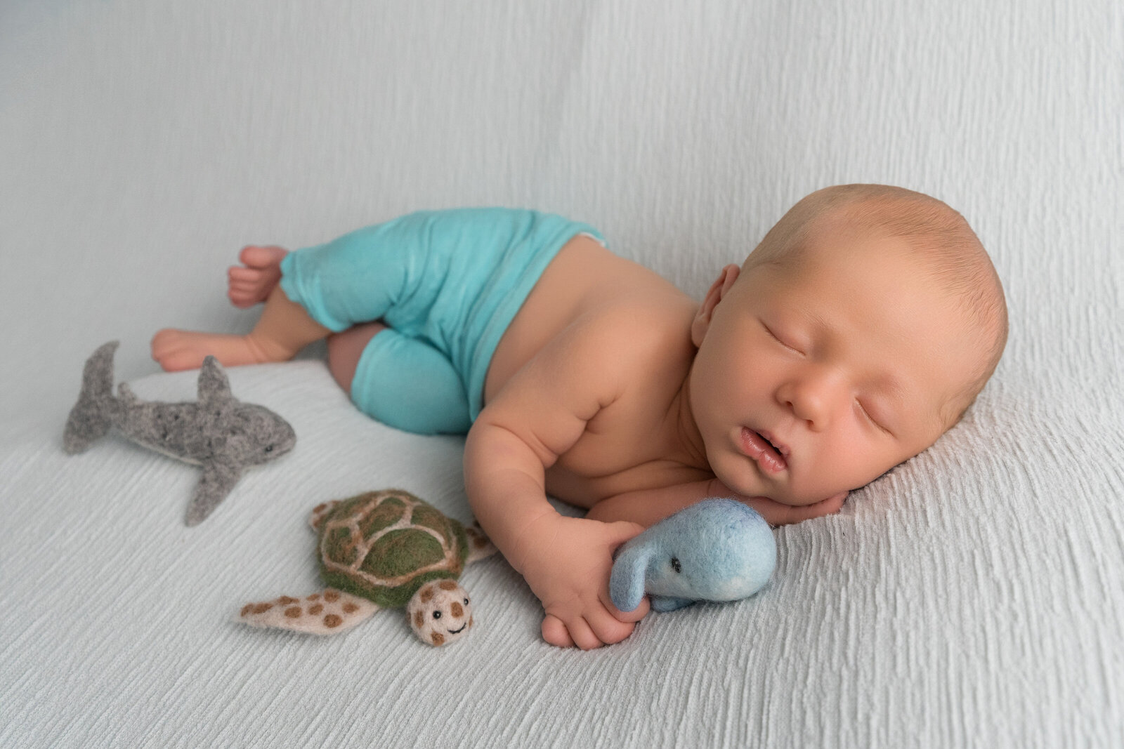 Hans Newborn Photos-December 2024-Sabrina Baxter Photography-Houston Photographer-12-E
