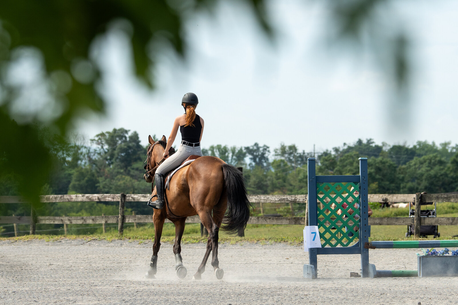 girl riding horse in ring with jump
