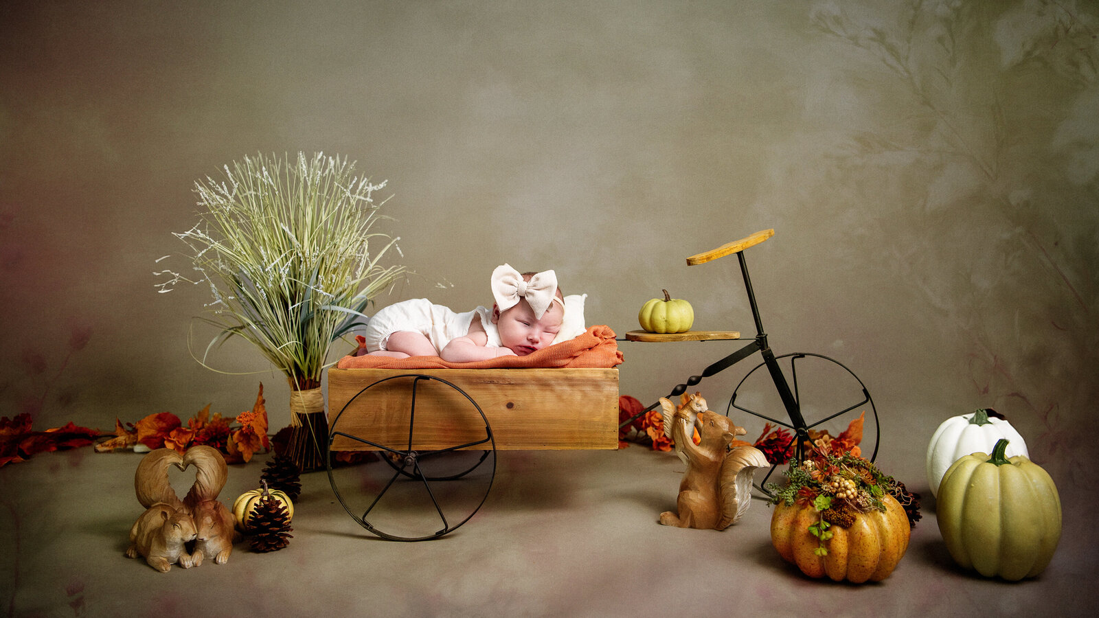 Stilwell Photography. Baby Ayla 10.1.24-110