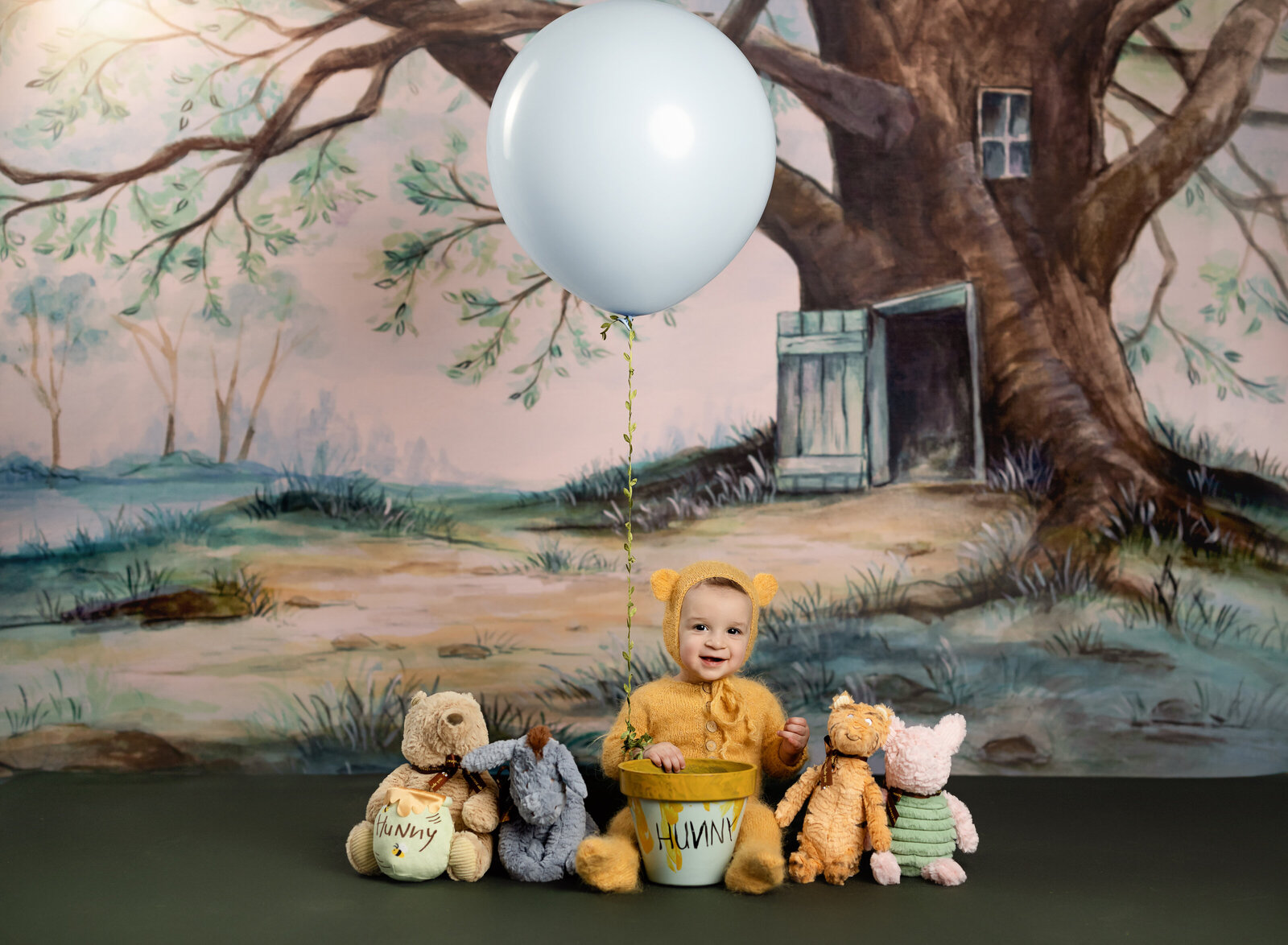 winnie the pooh birthday photoshoot