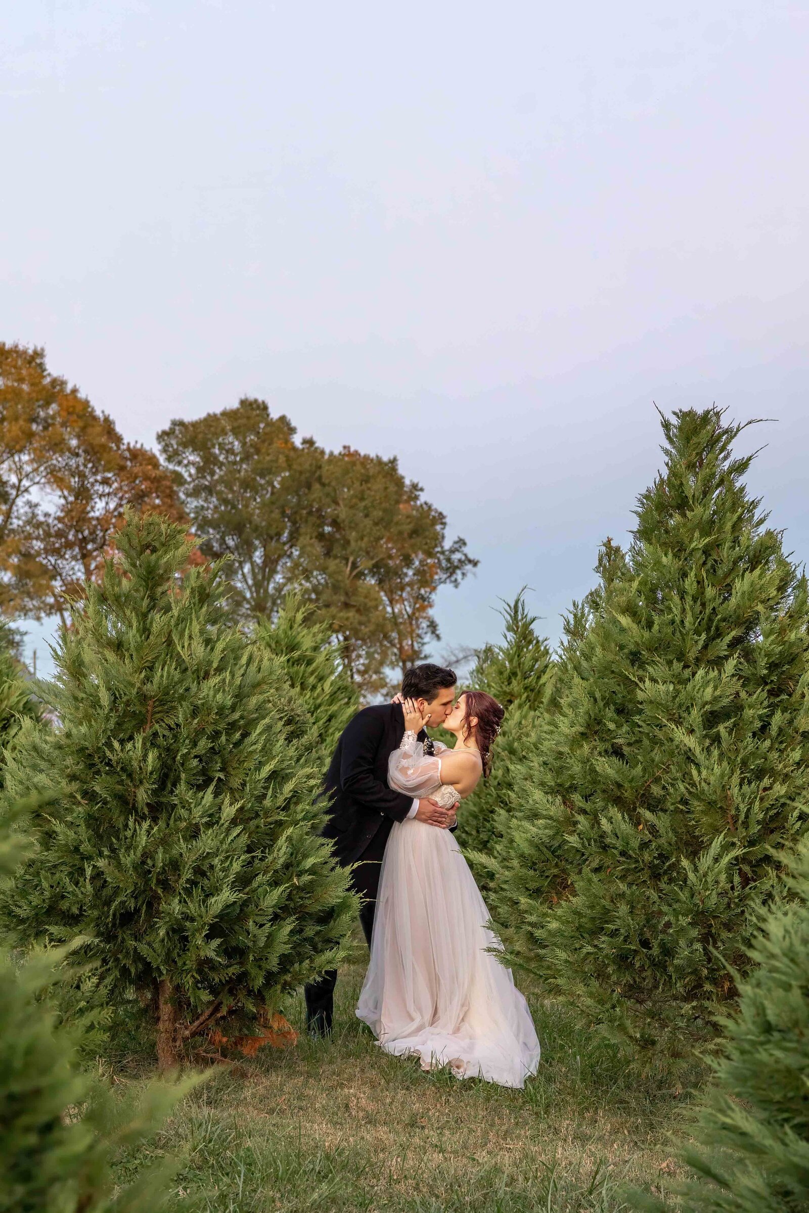 A bride and groom share a romantic kiss surrounded by evergreen trees at a Christmas tree farm during a Boone, NC wedding, blending rustic charm and seasonal elegance.