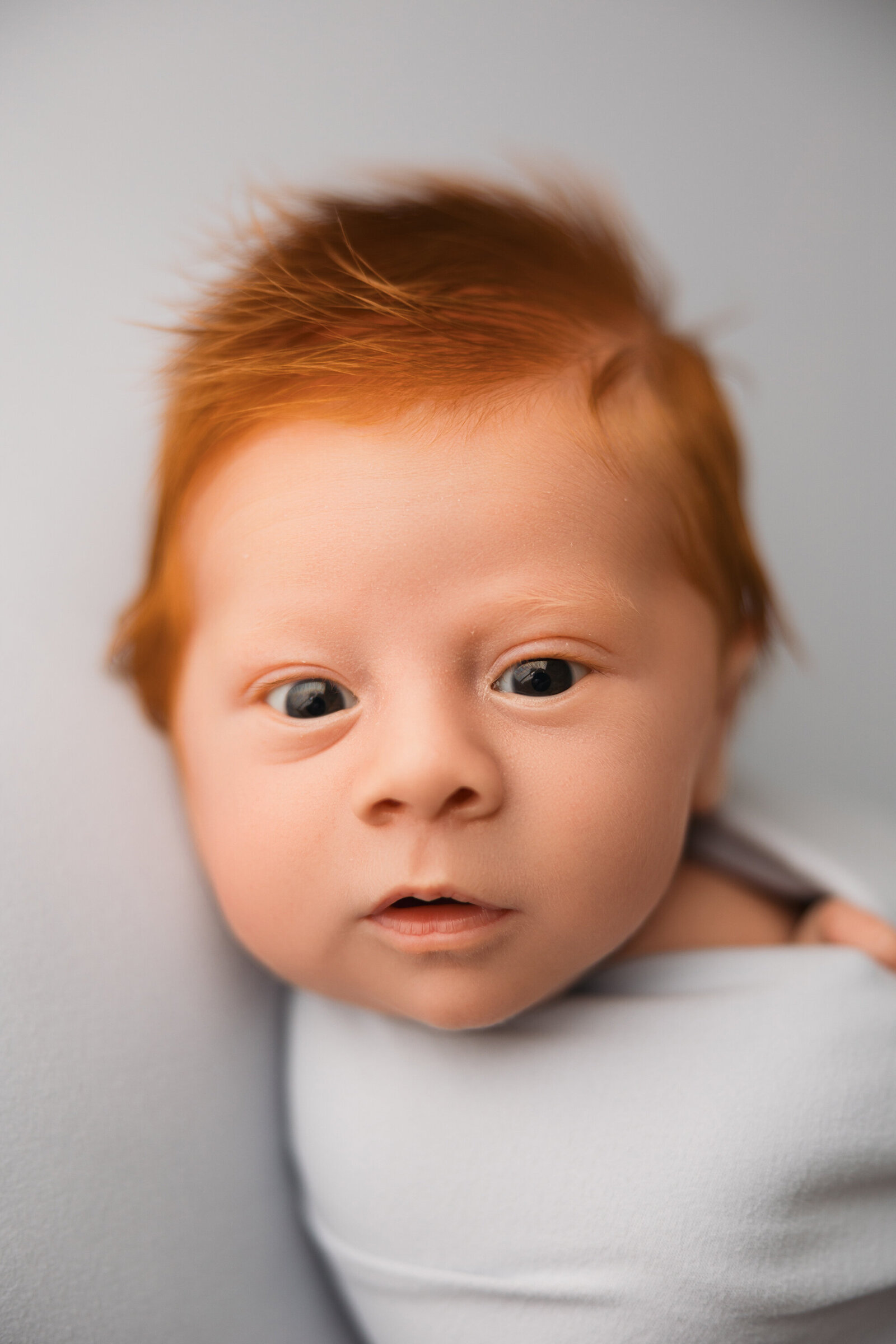 phoenix newborn photographer555