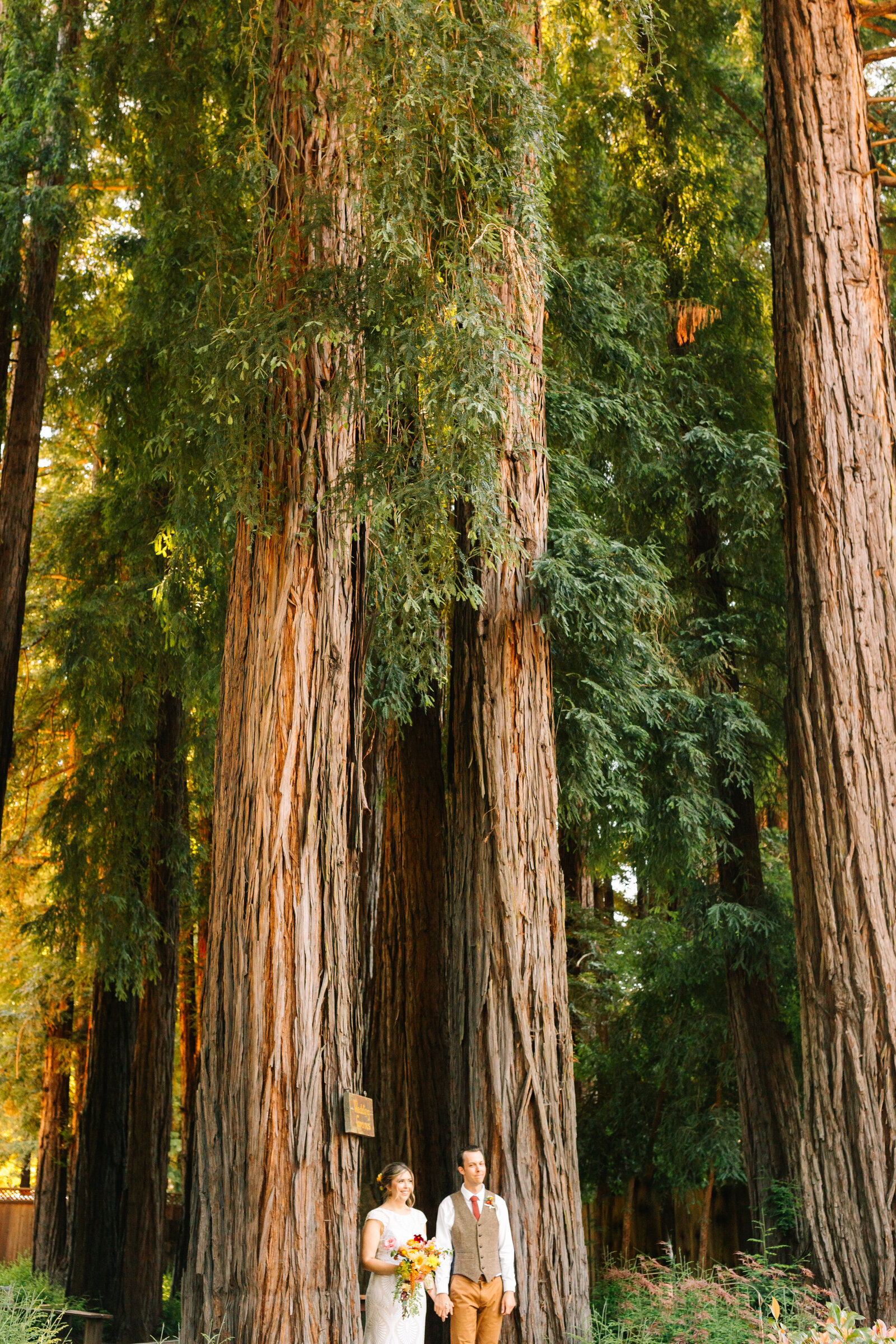 Bride and groom at their colorful wedding ceremony in Santa Cruz, California in the redwood trees.