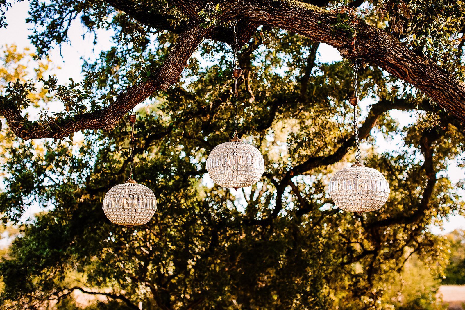 tree-decorations-outdoor-texas-venue