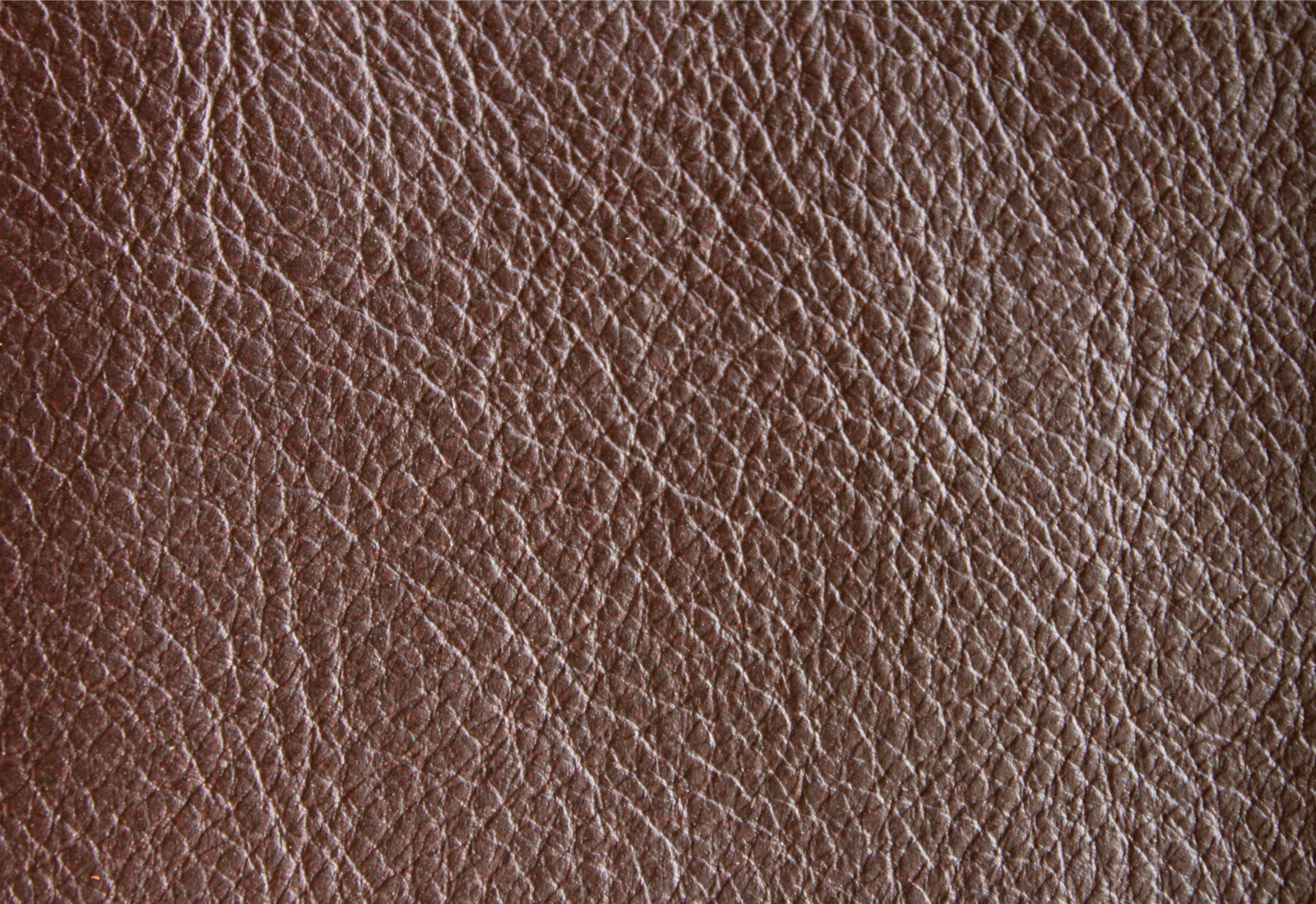 Amadeus Chestnut Leather