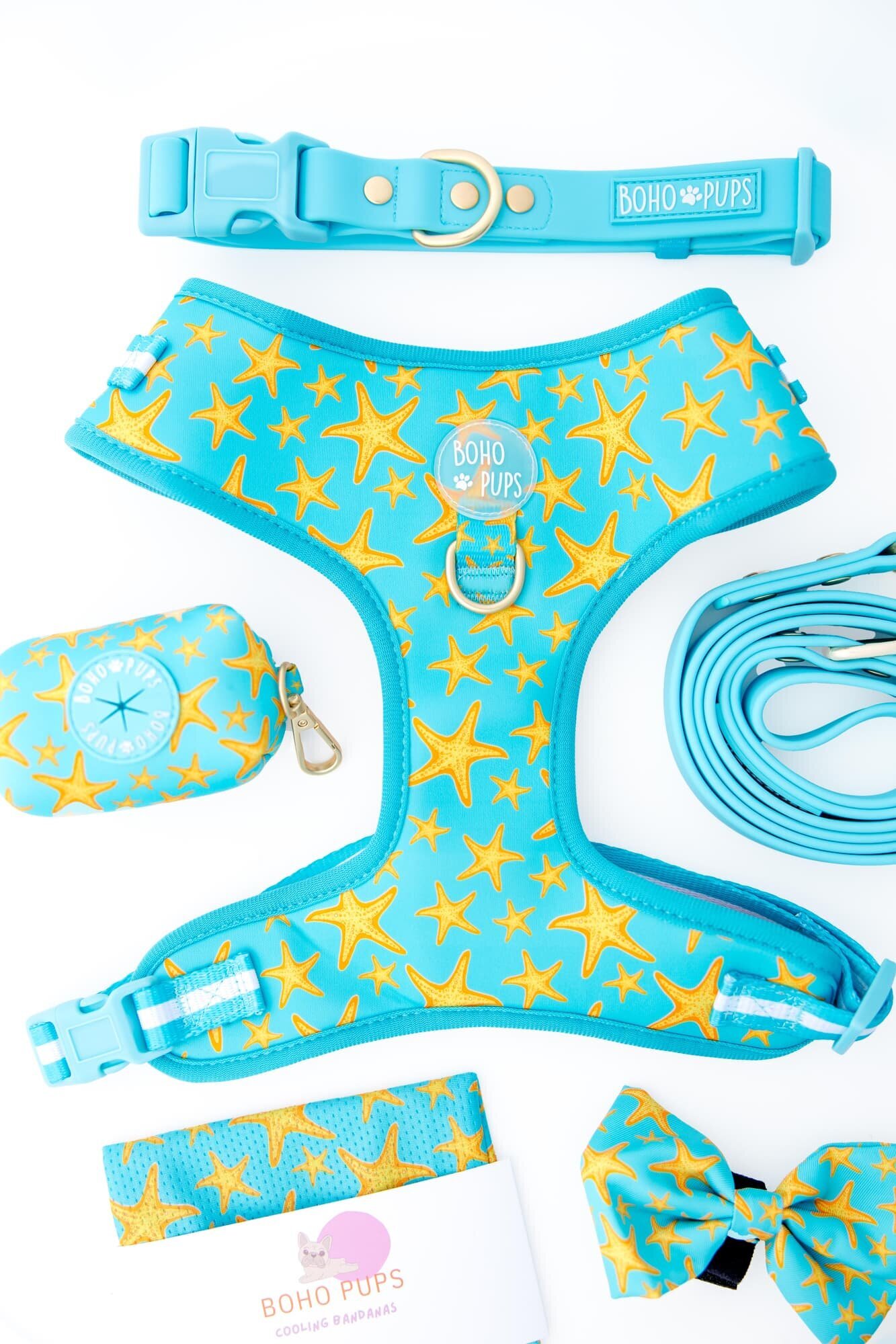 Commercial Pet Product Photography - Boho Pups Campaign - The Beloved Pup Photo Studio 35