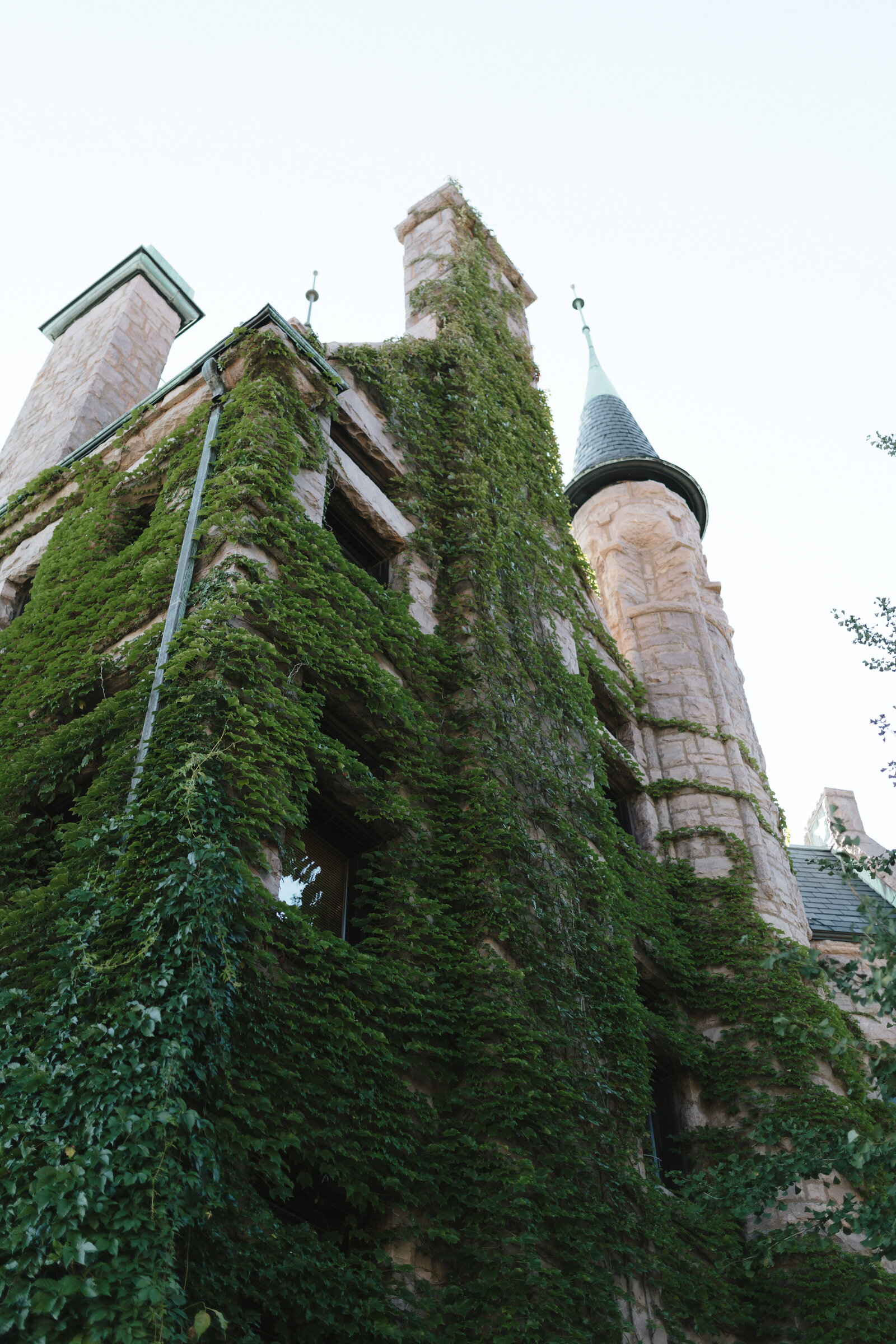 van-dusen-mansion-minneapolis-wedding-26