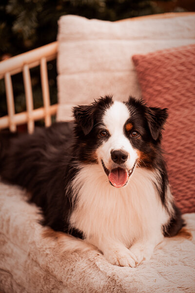 DSC_5946-Edit