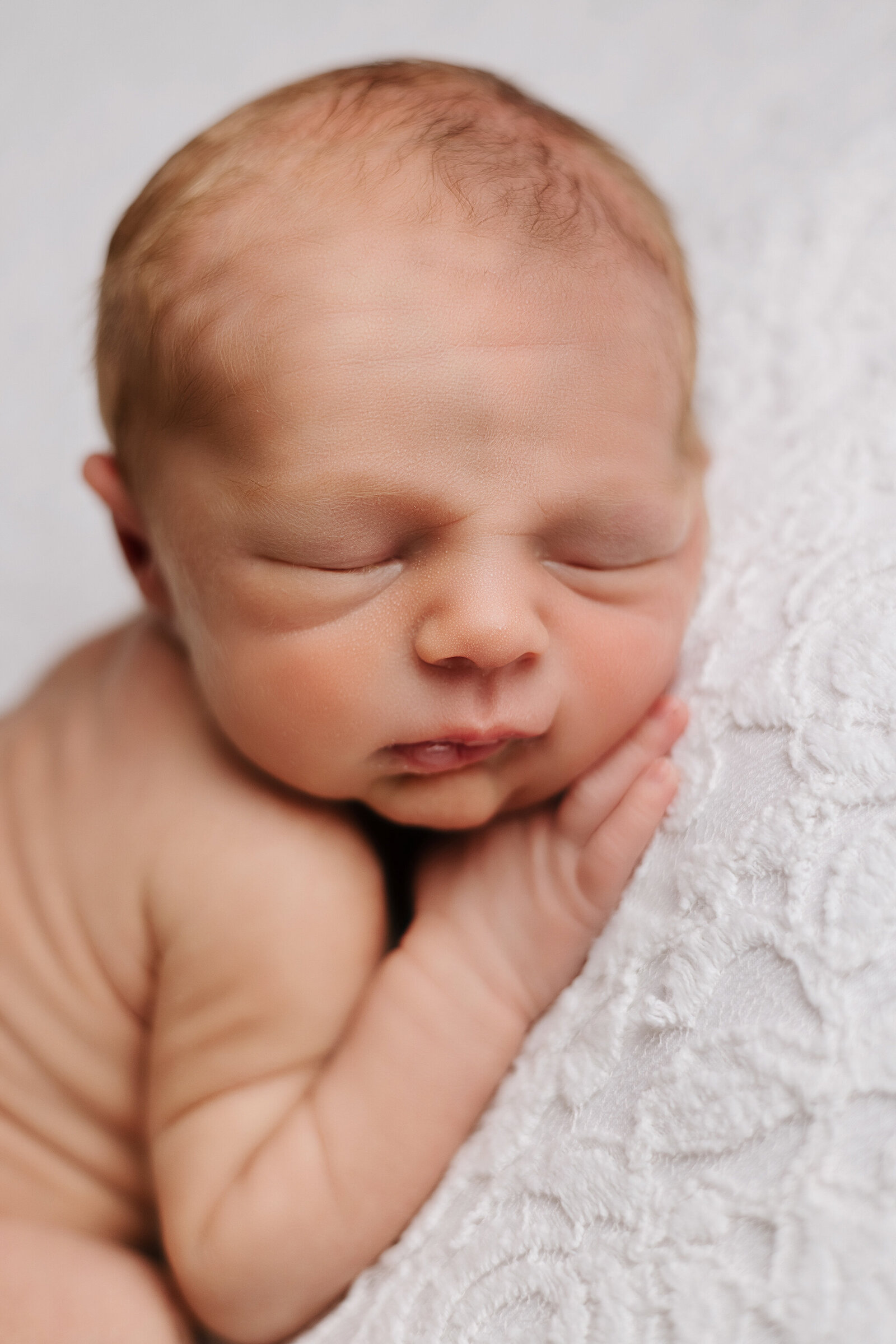 baby white newborn andrea b photography