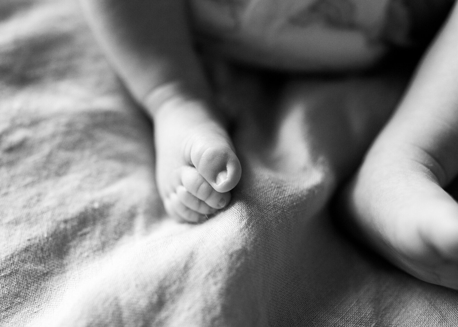 Monochrome image of babies feet taken by Portland newborn photographer.