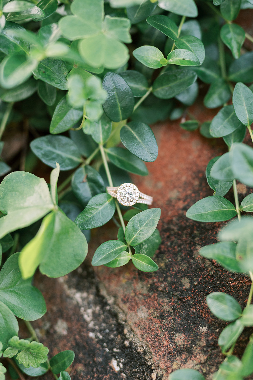 J+R Engagement-403_websize