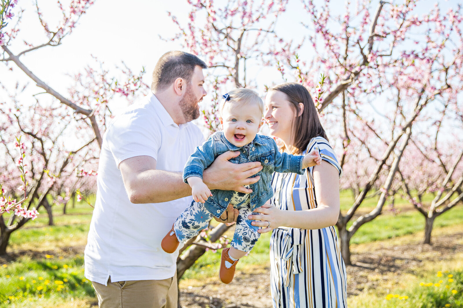 0P8A6455 copy 2