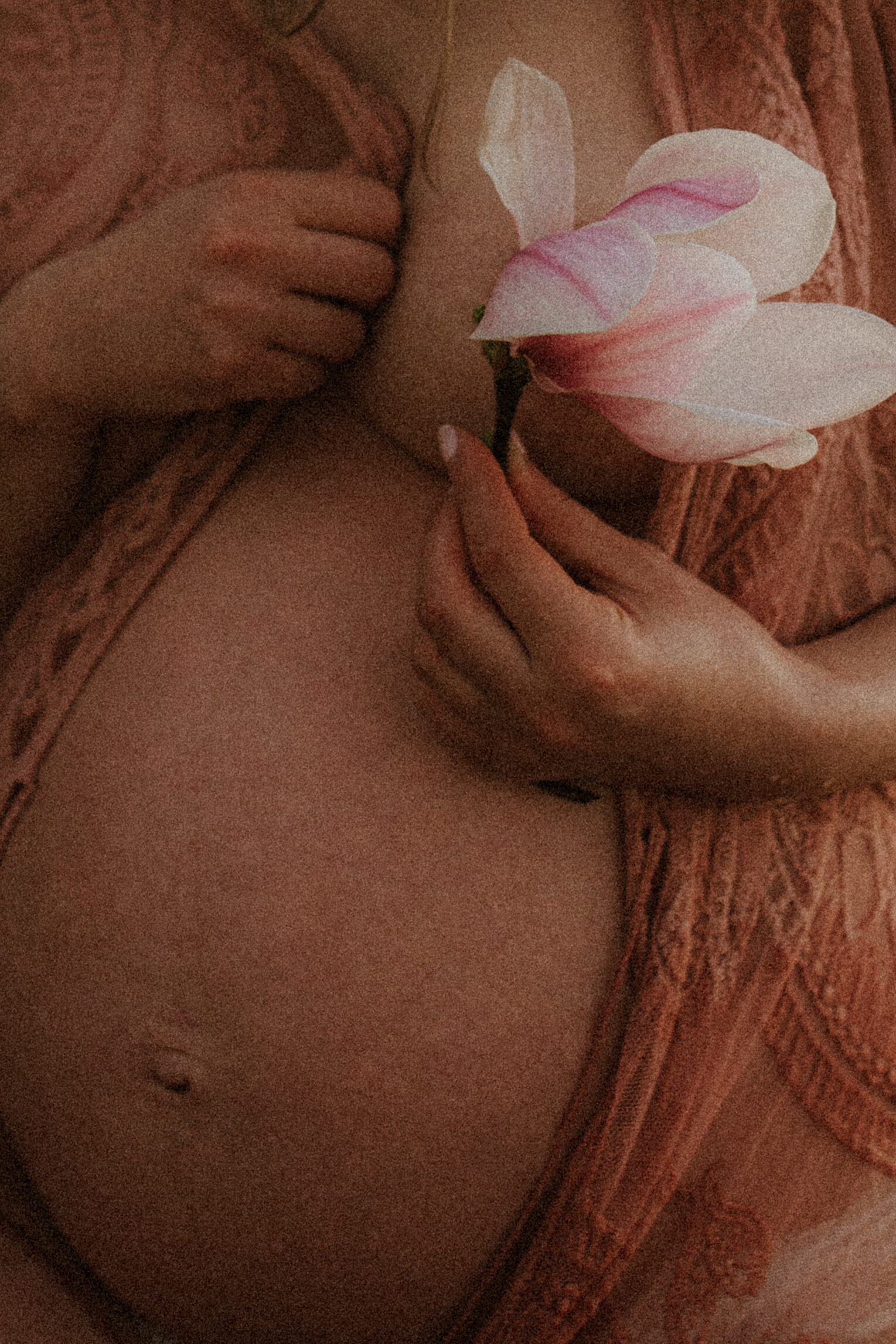 untitled-231