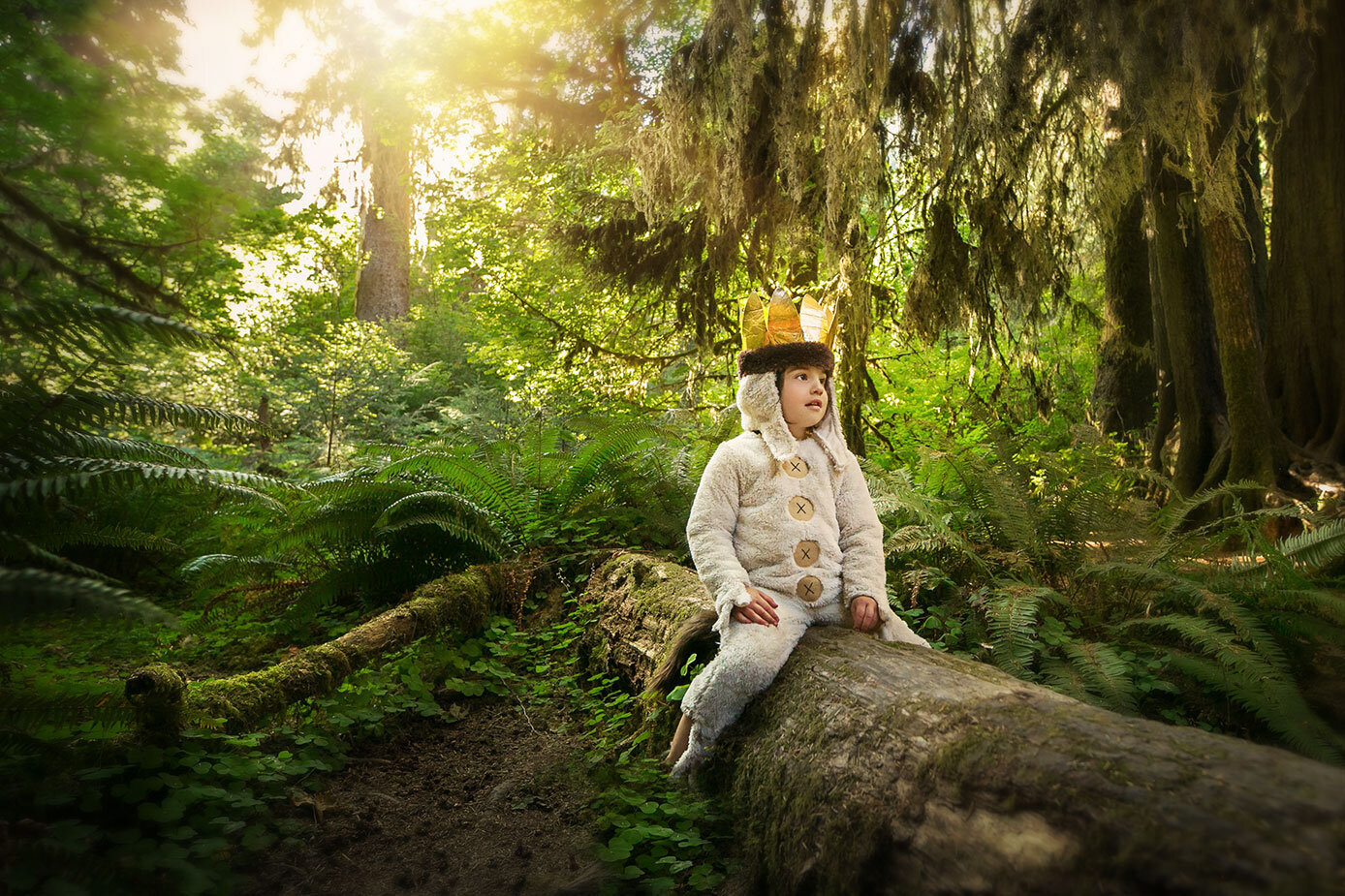 3where-the-wild-things-go-roam-redwoods-national-park-california-children-book-classic-chid-photographer