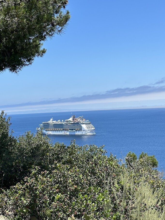 Cruise