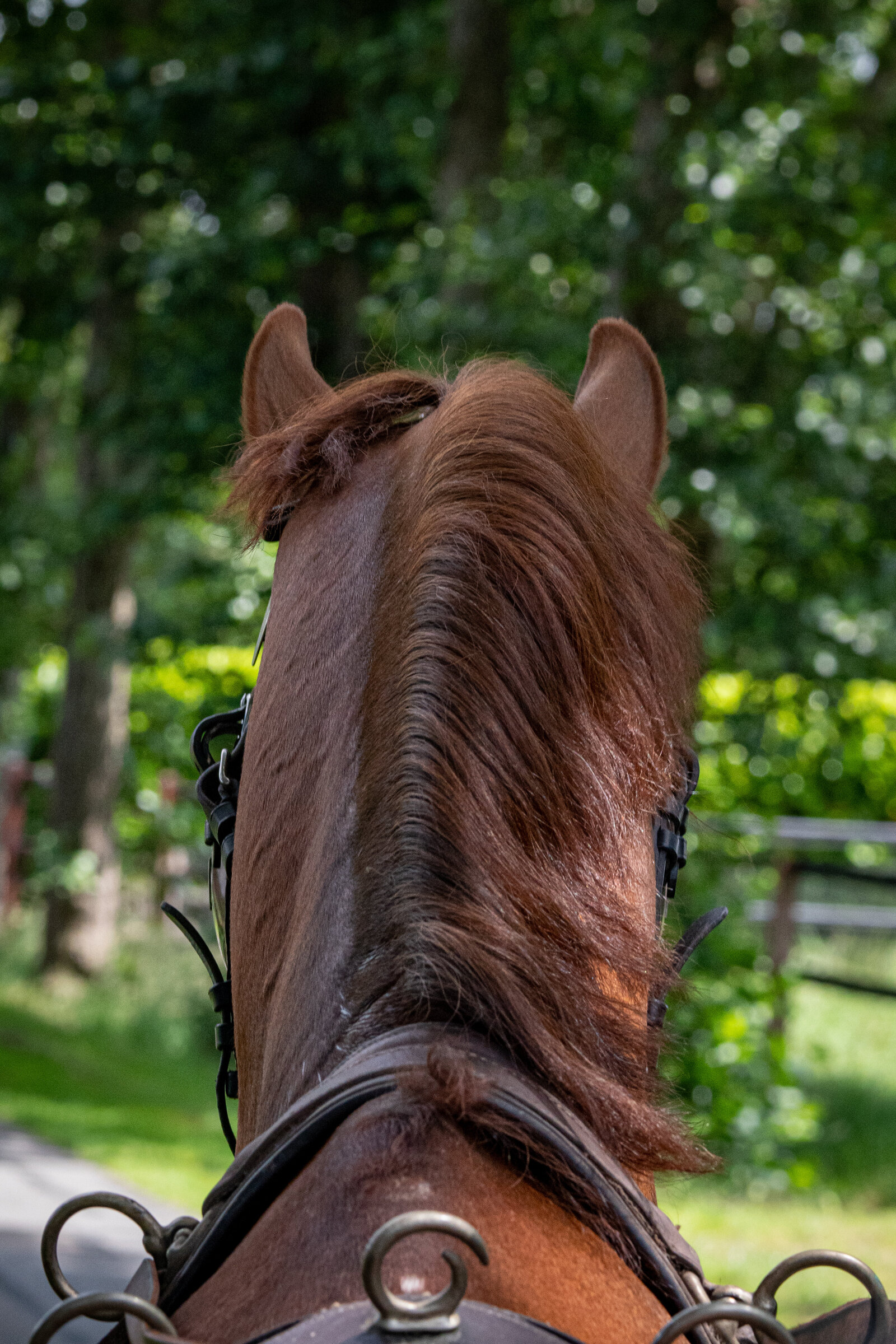 DSC_4057-2