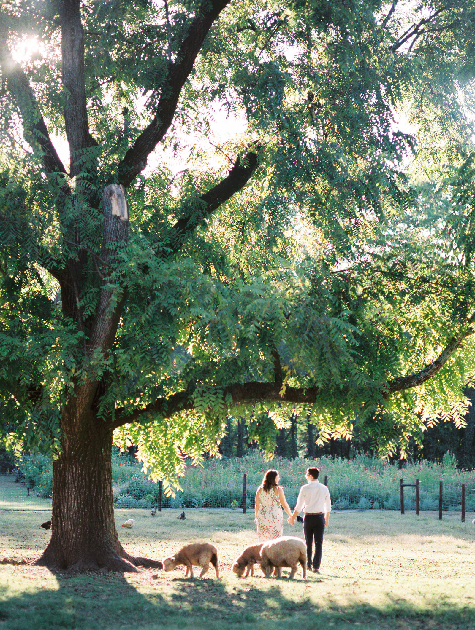 Rachel-Carter-Photography-1818-Farms-Mooresville-Alabama-Engagement-Photographer-88