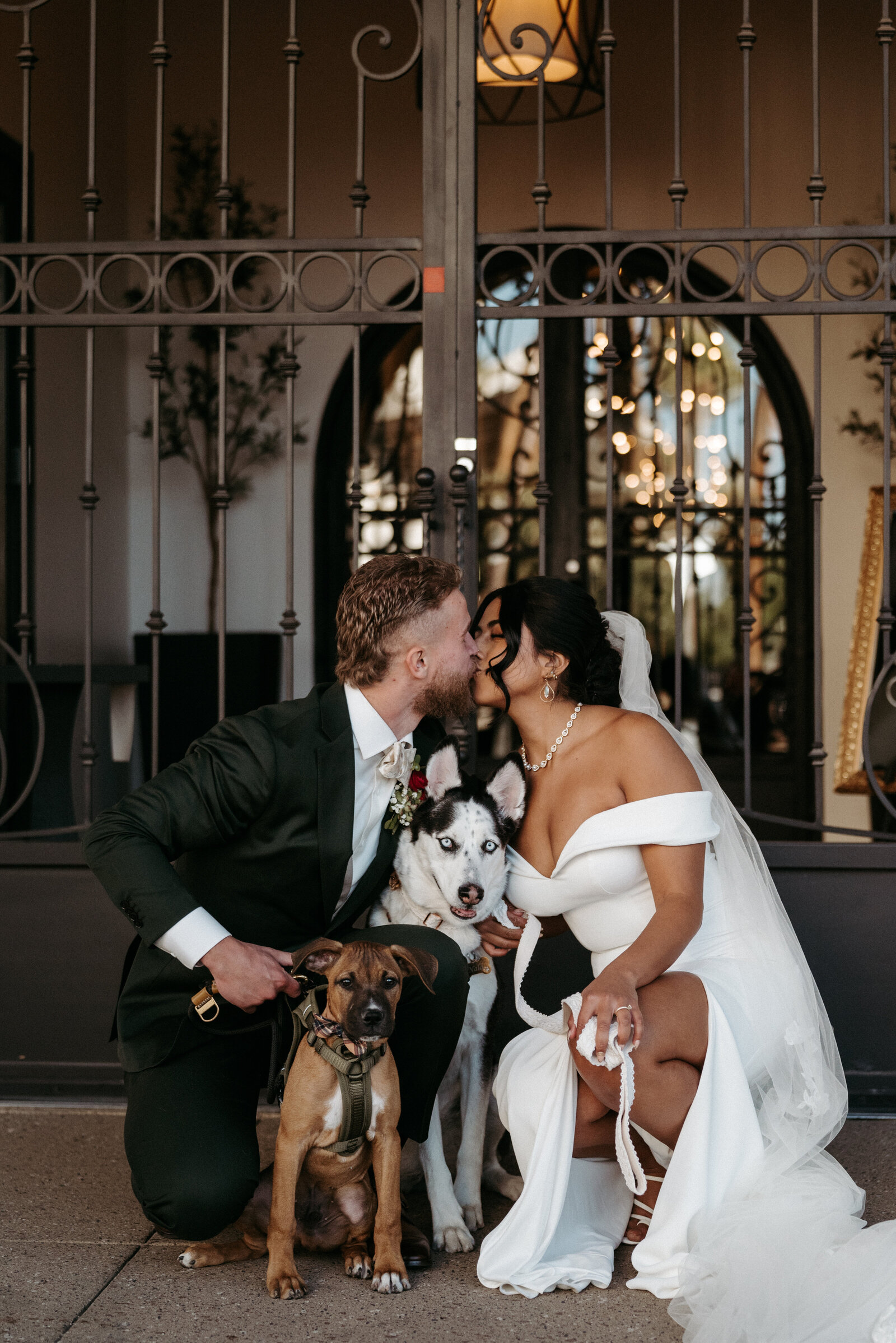 soho63-chandler-wedding-venue-bride-and-groom-with-their-dogs