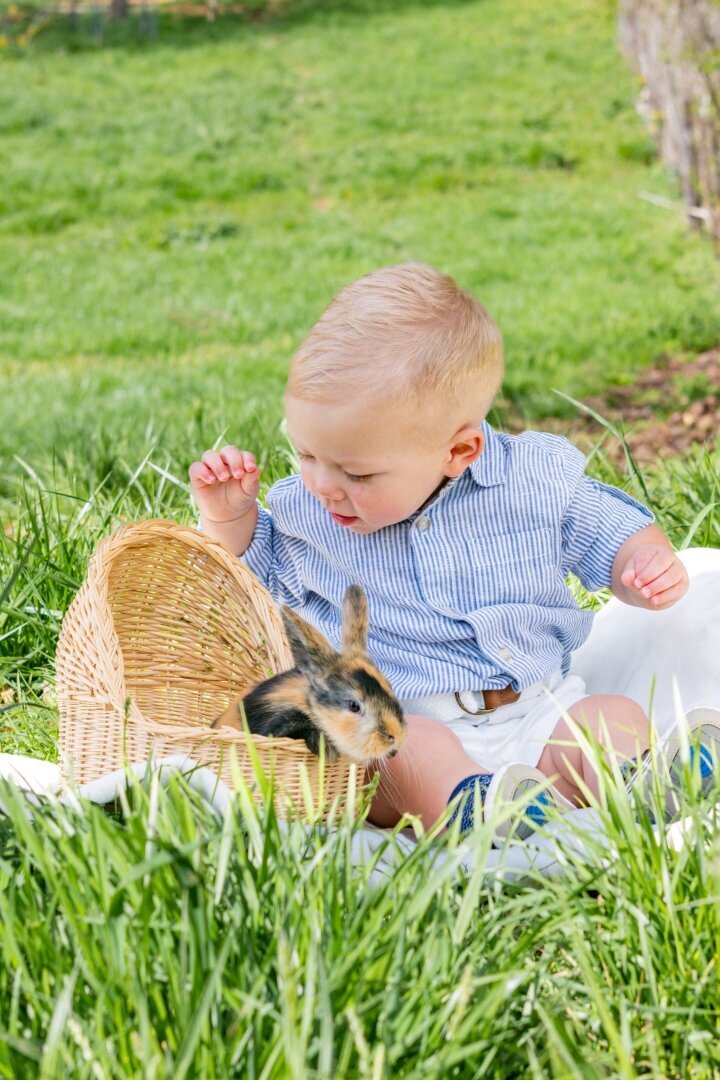 Spring_Mini_Session_Gatlinburg