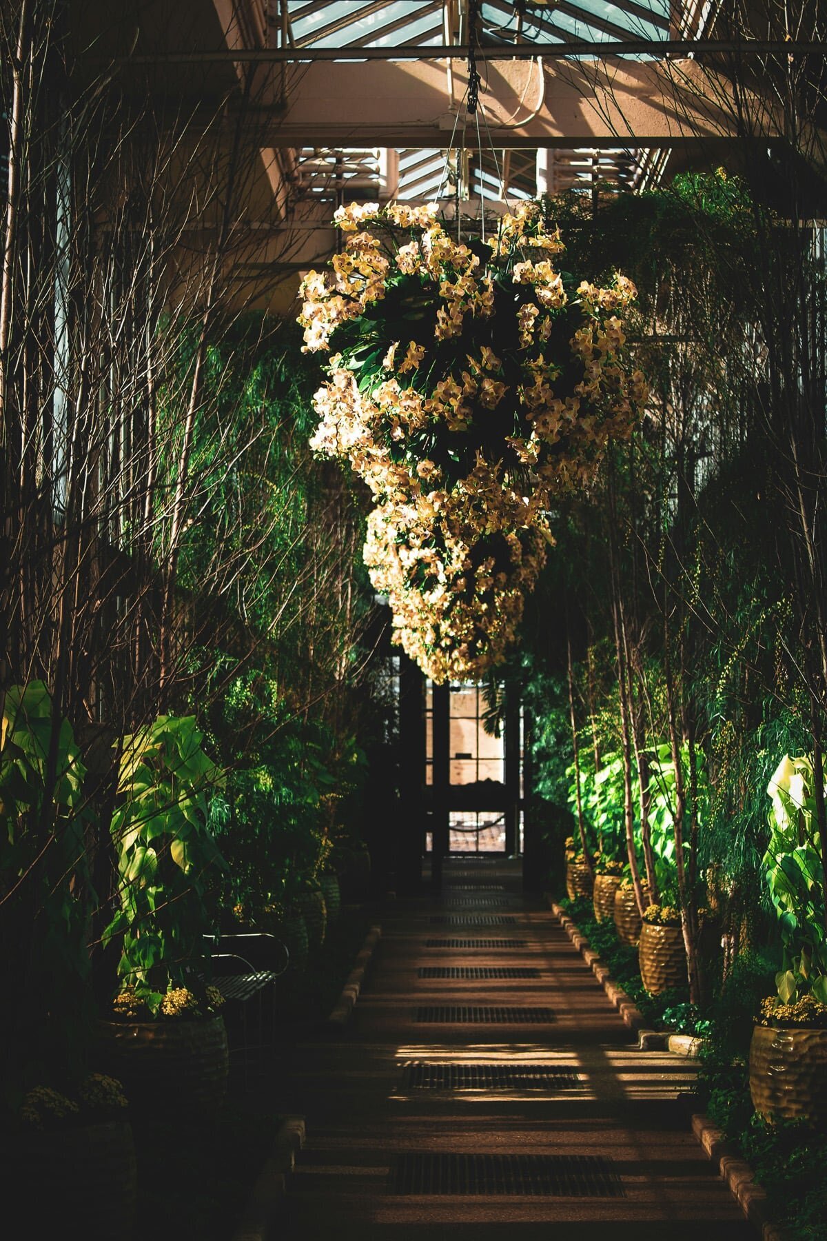 Website Design for Destination Wedding Planner by JetSite and Roam 20