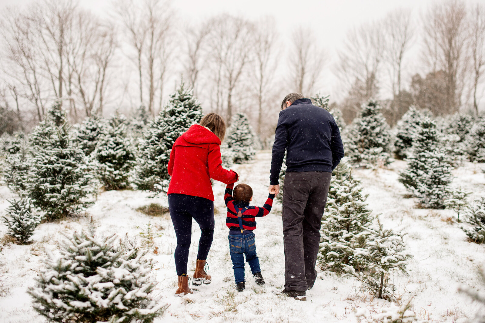 bangor-maine-bar-harbor-acadia-national-park-family-photographer-0128