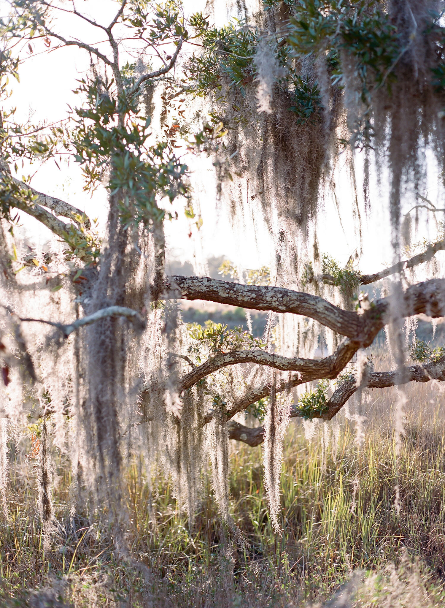 Kiawah-Island-Engagement-Photographer-37