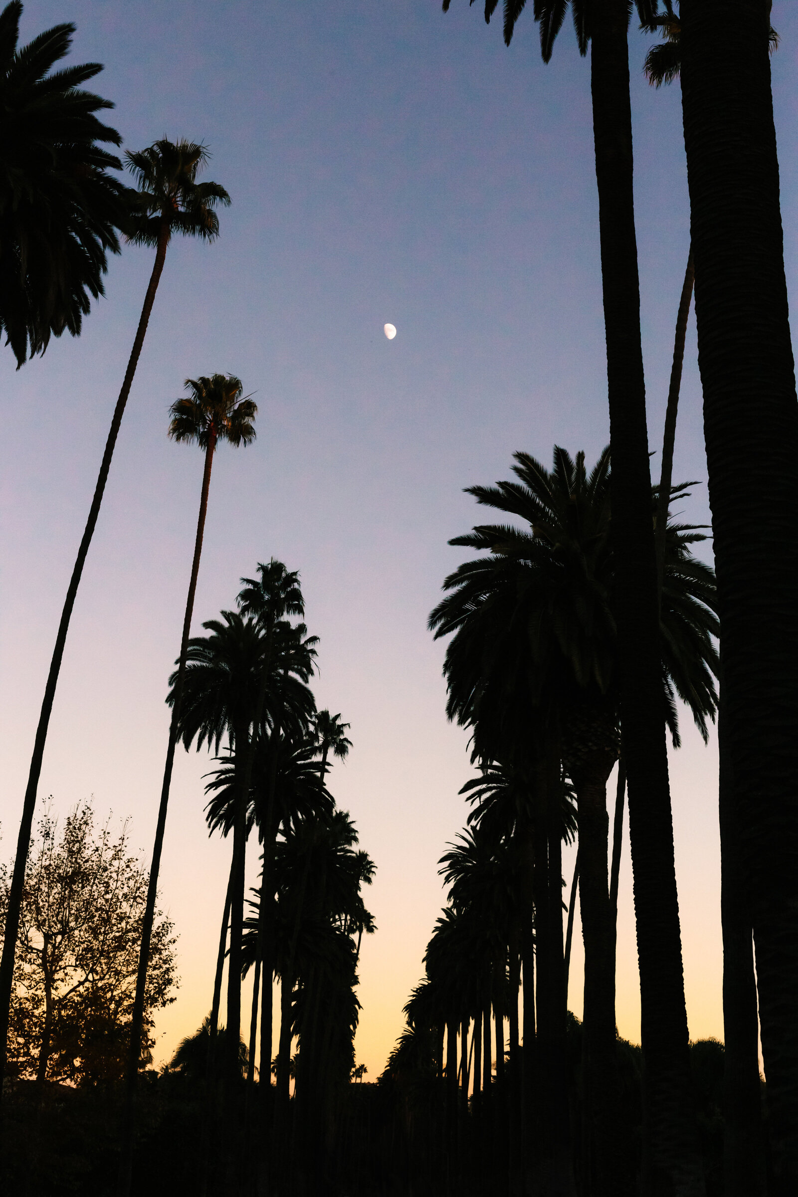 Los Angeles Beverly Hills 16