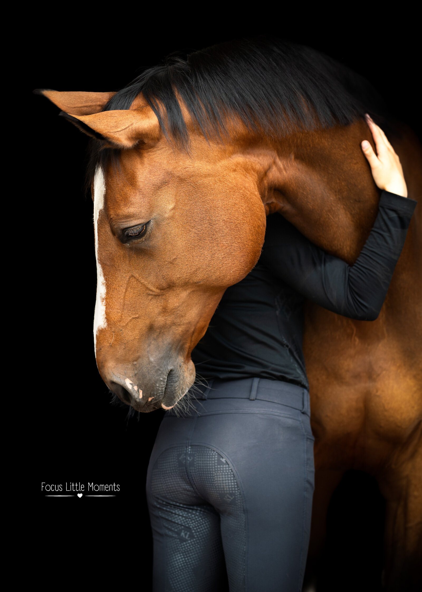 _DSC6333-bewerkt