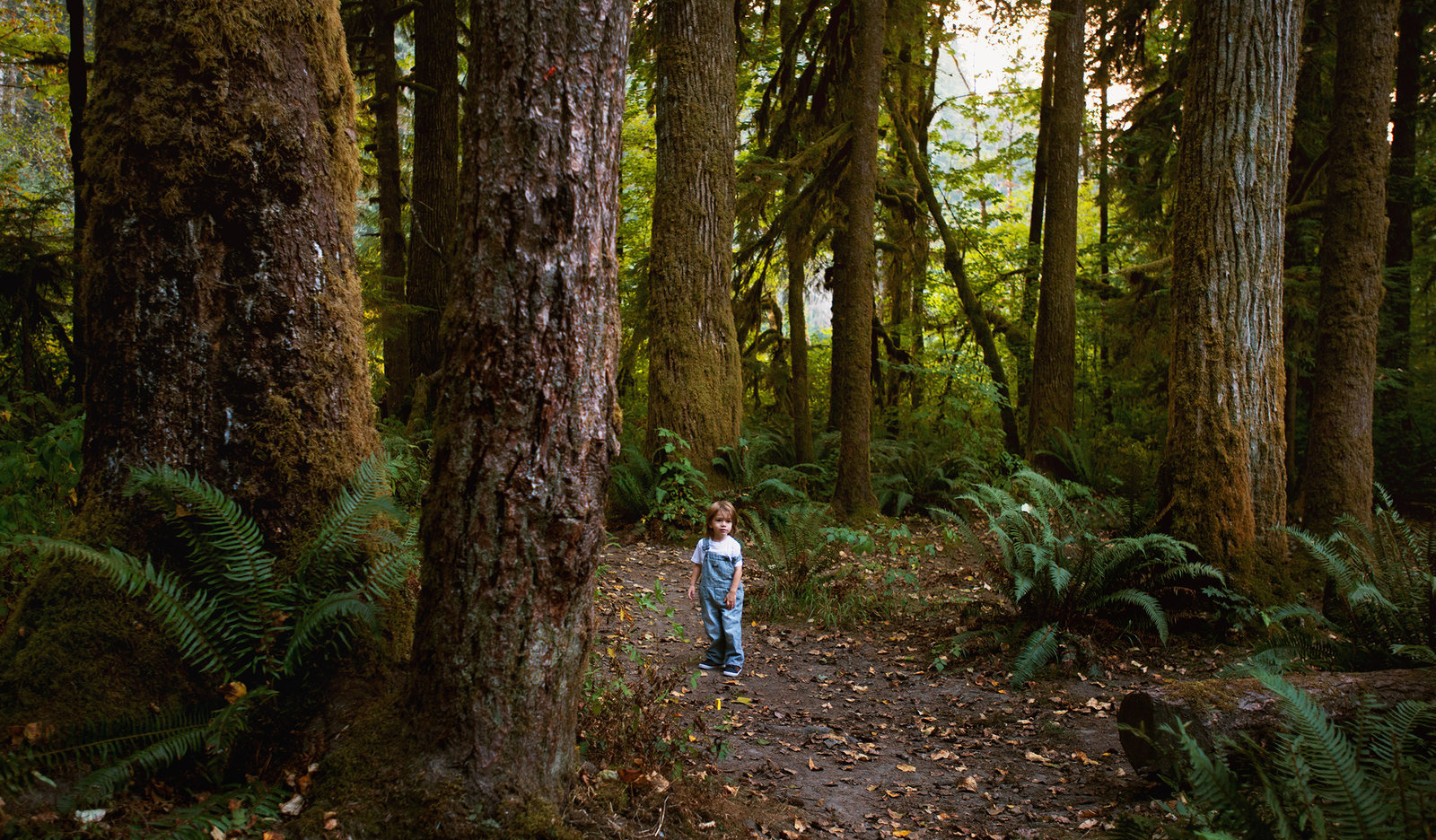 child photography in the woods in Bremerton Wa