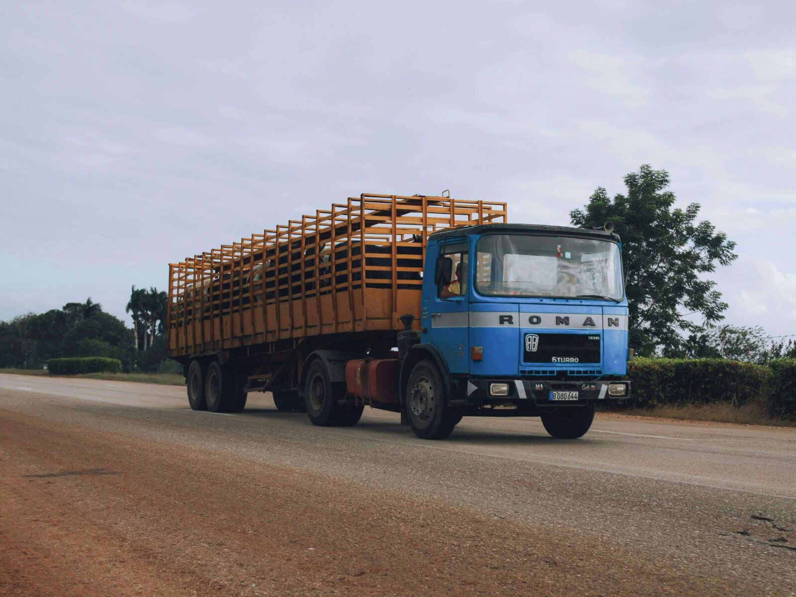 blue-livestock-transport-truck
