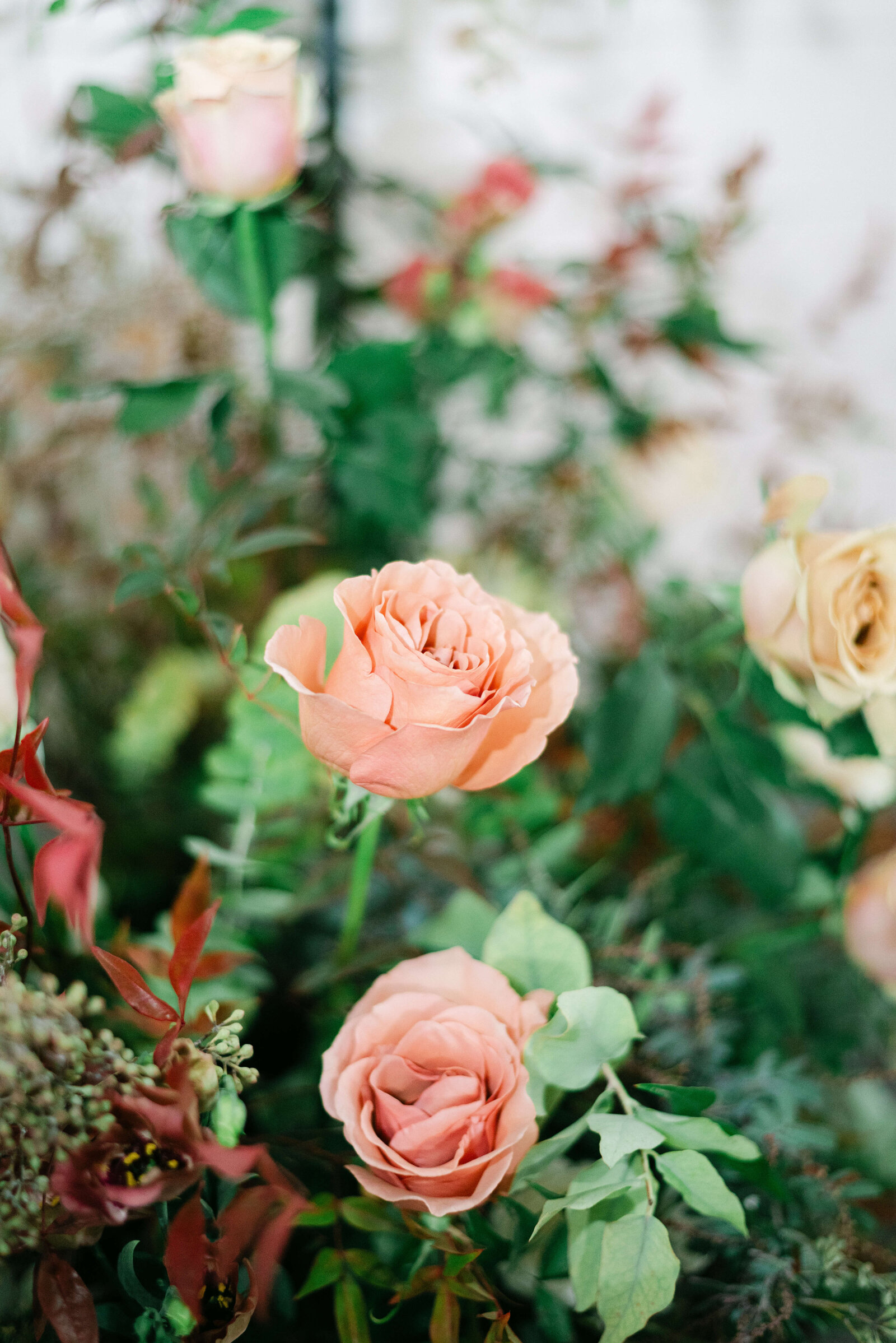 Penticton-wedding-photography (6)