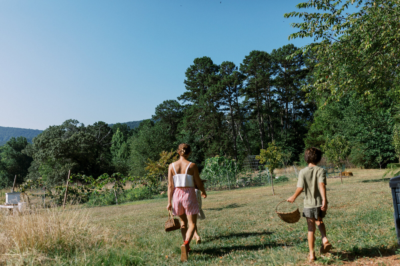 outdoor family session in fort wayne, indiana