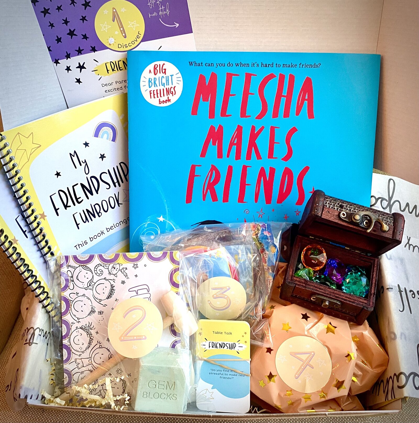 MeeshaMakesFriendsBox