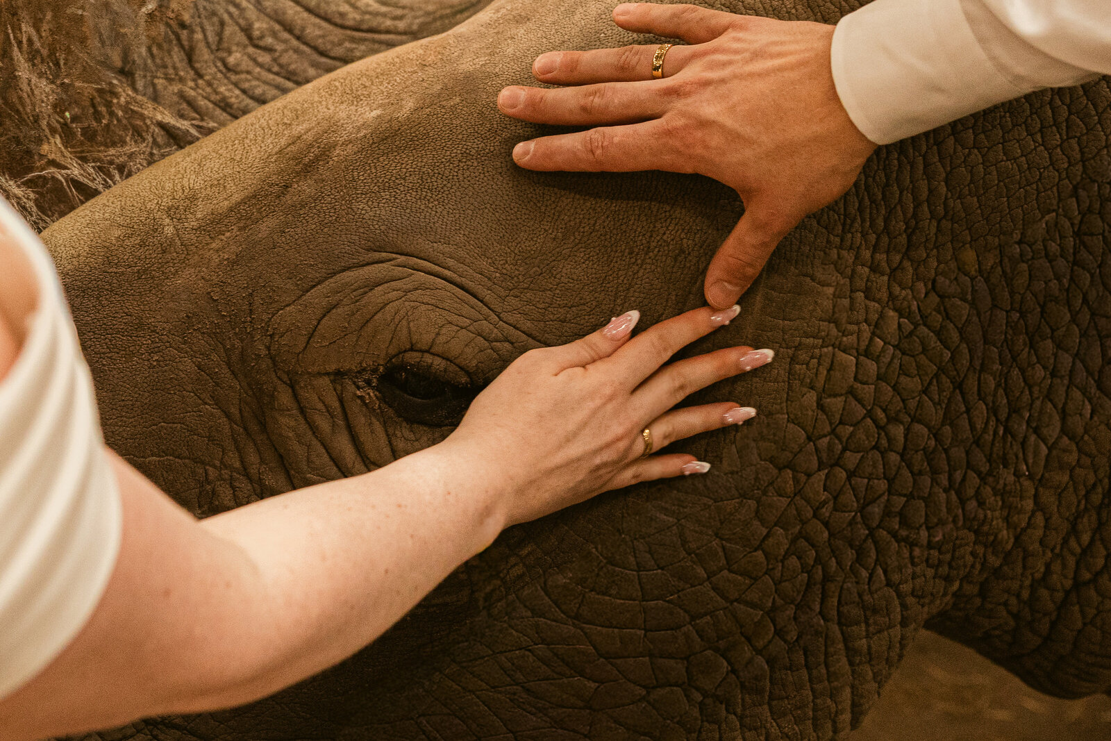 annedenhaanbruiloftxmaikesmay-93