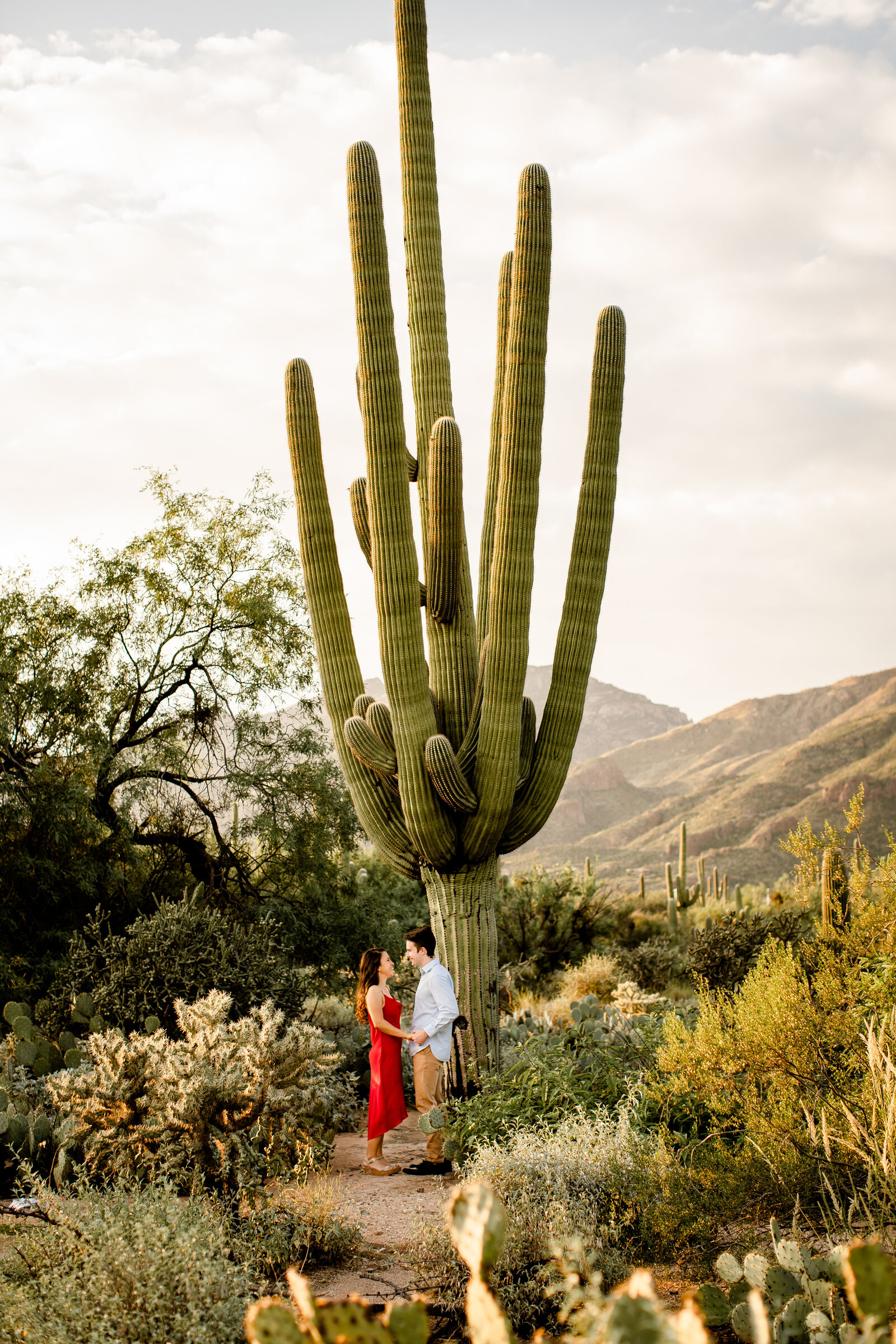 Sabino Canyon engagement photo shoot couple standing next to giant saguaro cacti