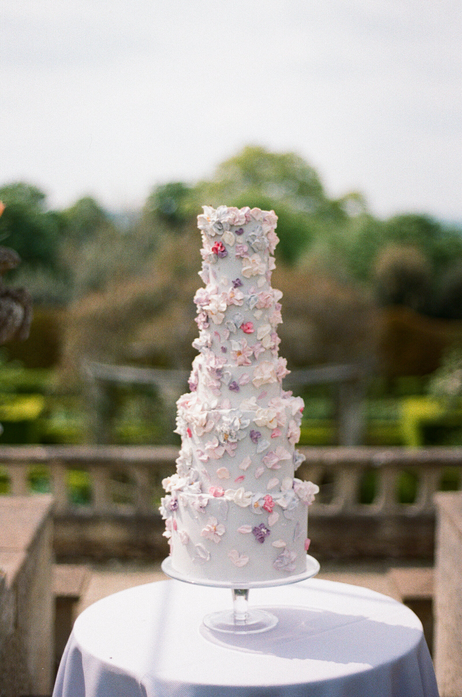 analogue 265 Wedding