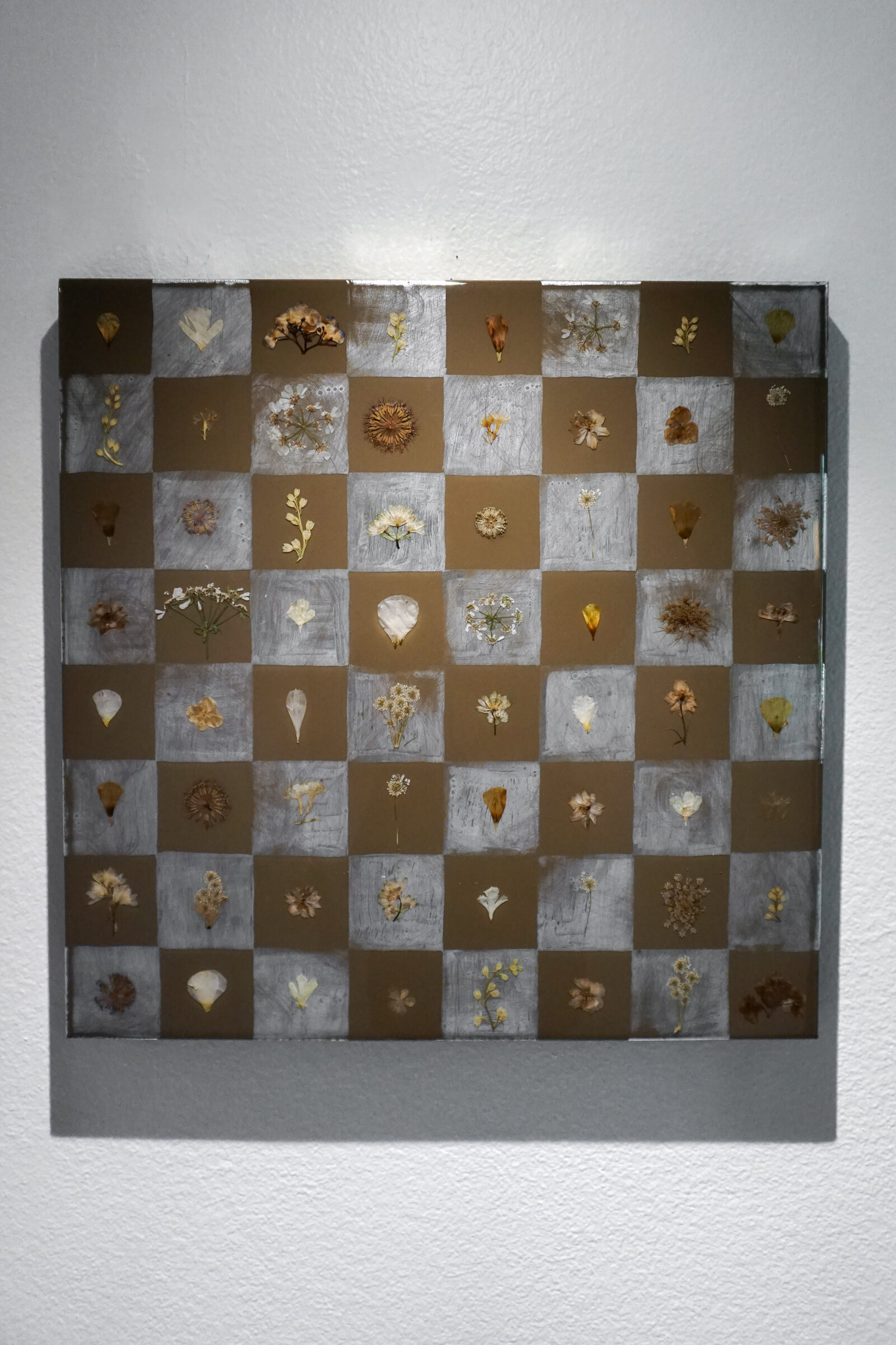 Checkered Collection 2024-04