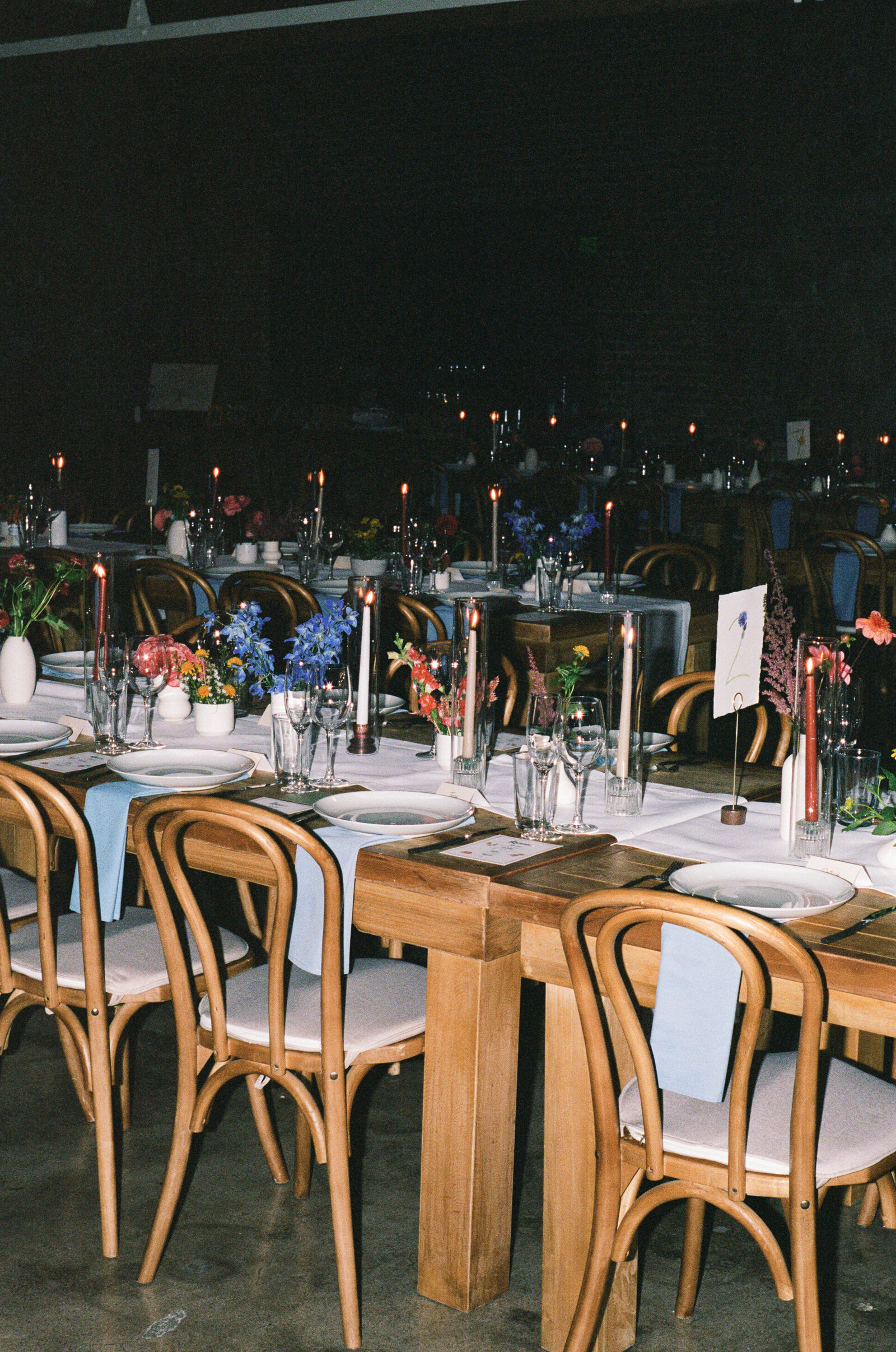 kodak_professional_portra_400_10_05_2024_000142650019
