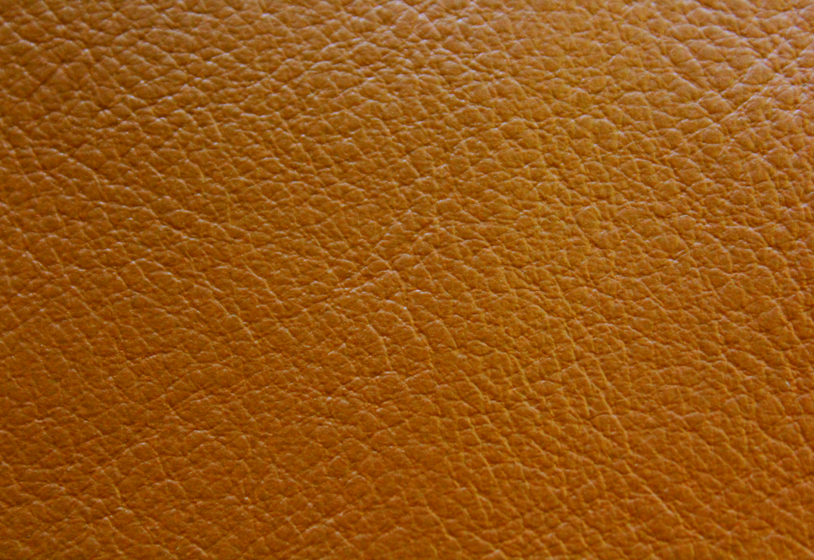 Amadeus Whiskey Leather