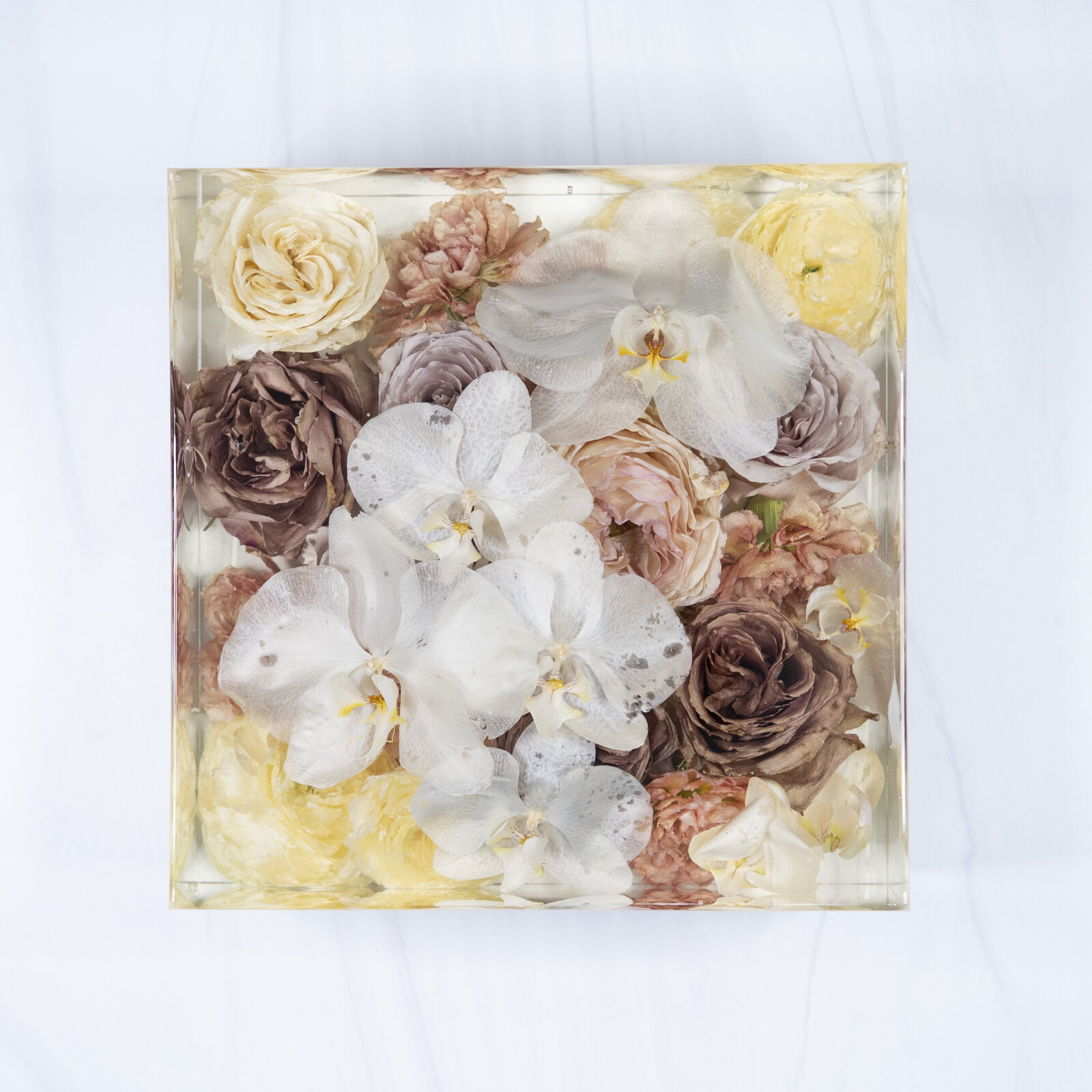 block9 brown white orchid pink KristinT
