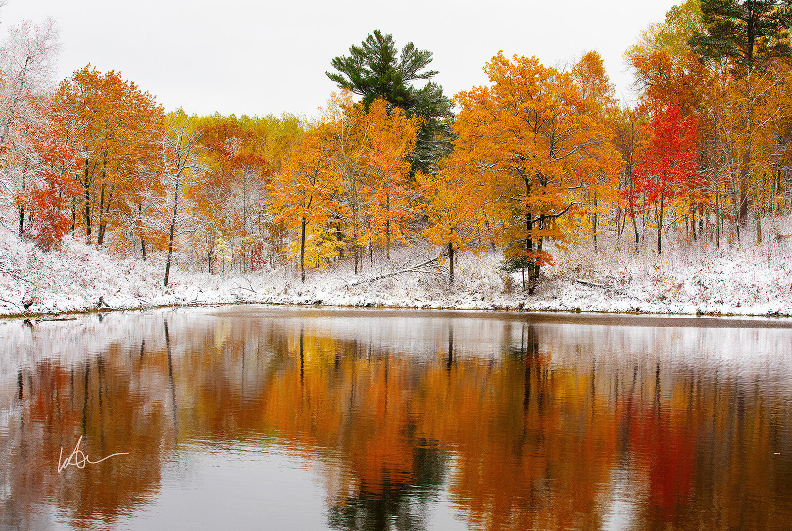 Seasons Collide Paul Bunyan State Forest