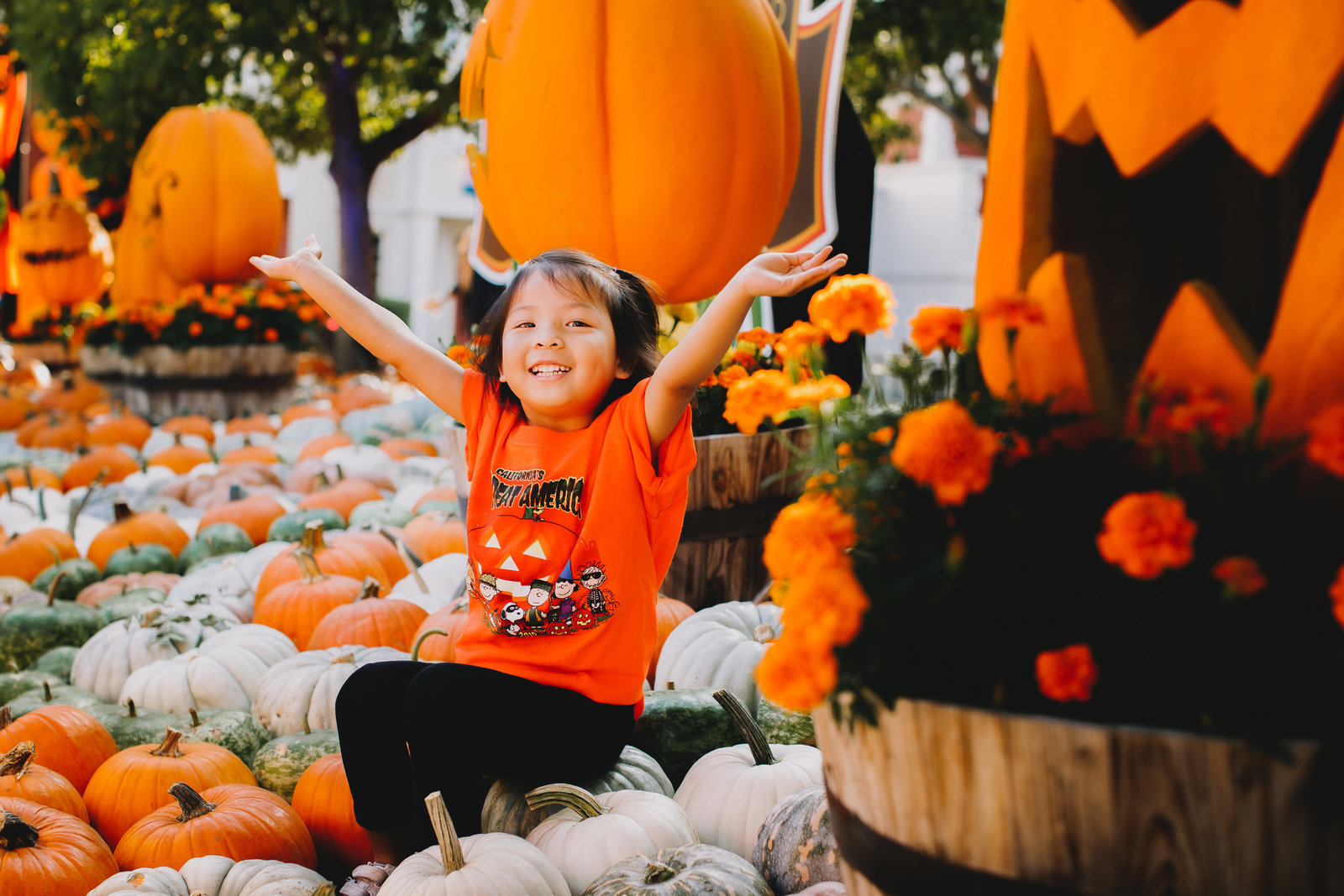 Archer Inspired Photography - California_s Great America - Fall 2019-8