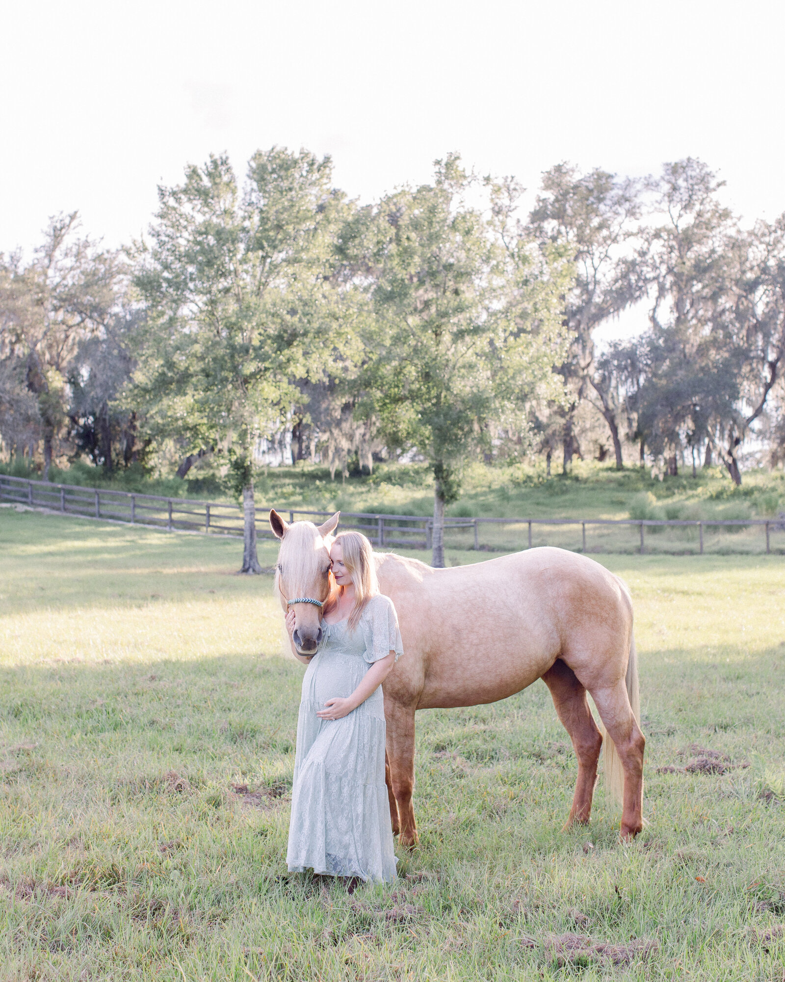 Serene portrait of pregnant mom standing next to her palomino horse while holding her baby bump on a horse farm in soft afternoon light by NH newborn photographer Fieldstone Studio.