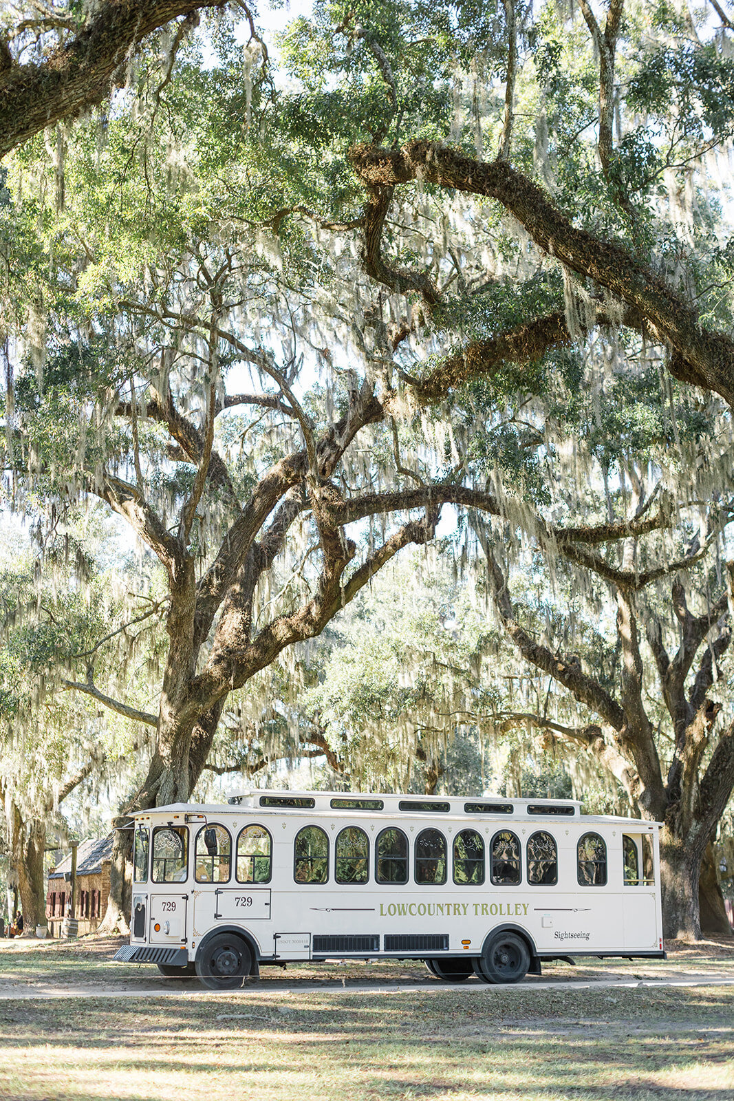 Boone Hall-6487