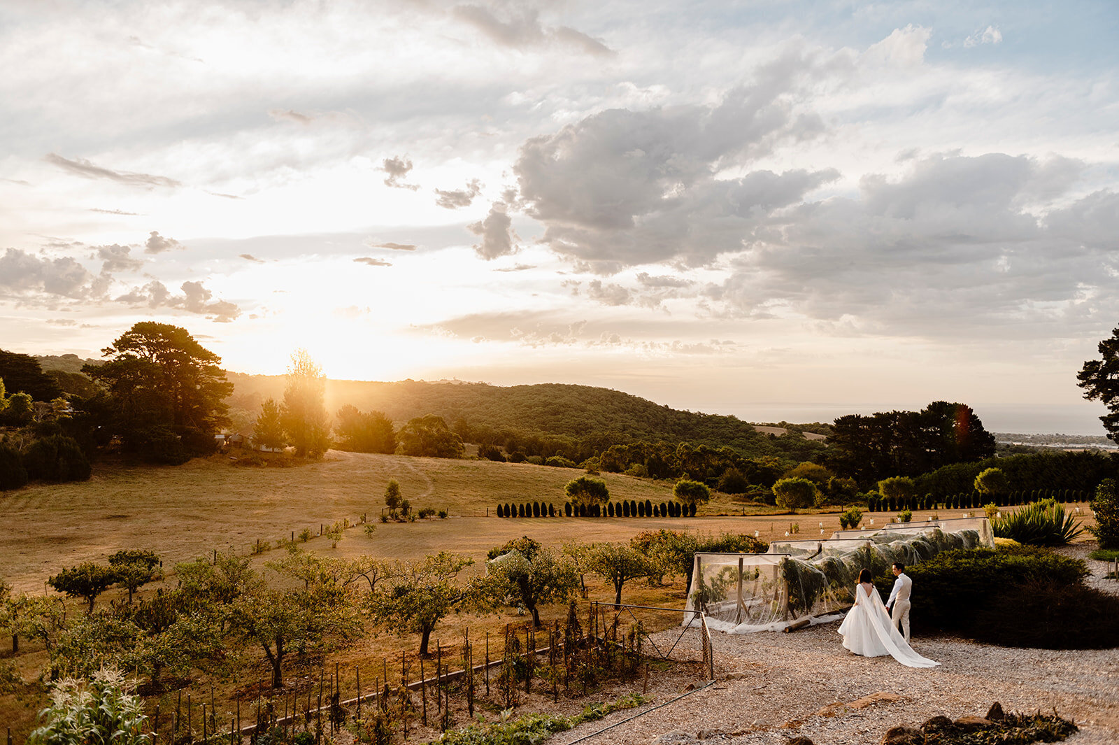 Landscape_bride_and_groom