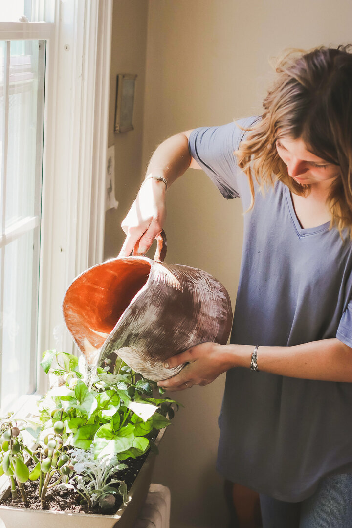 woman pouring water into a plant