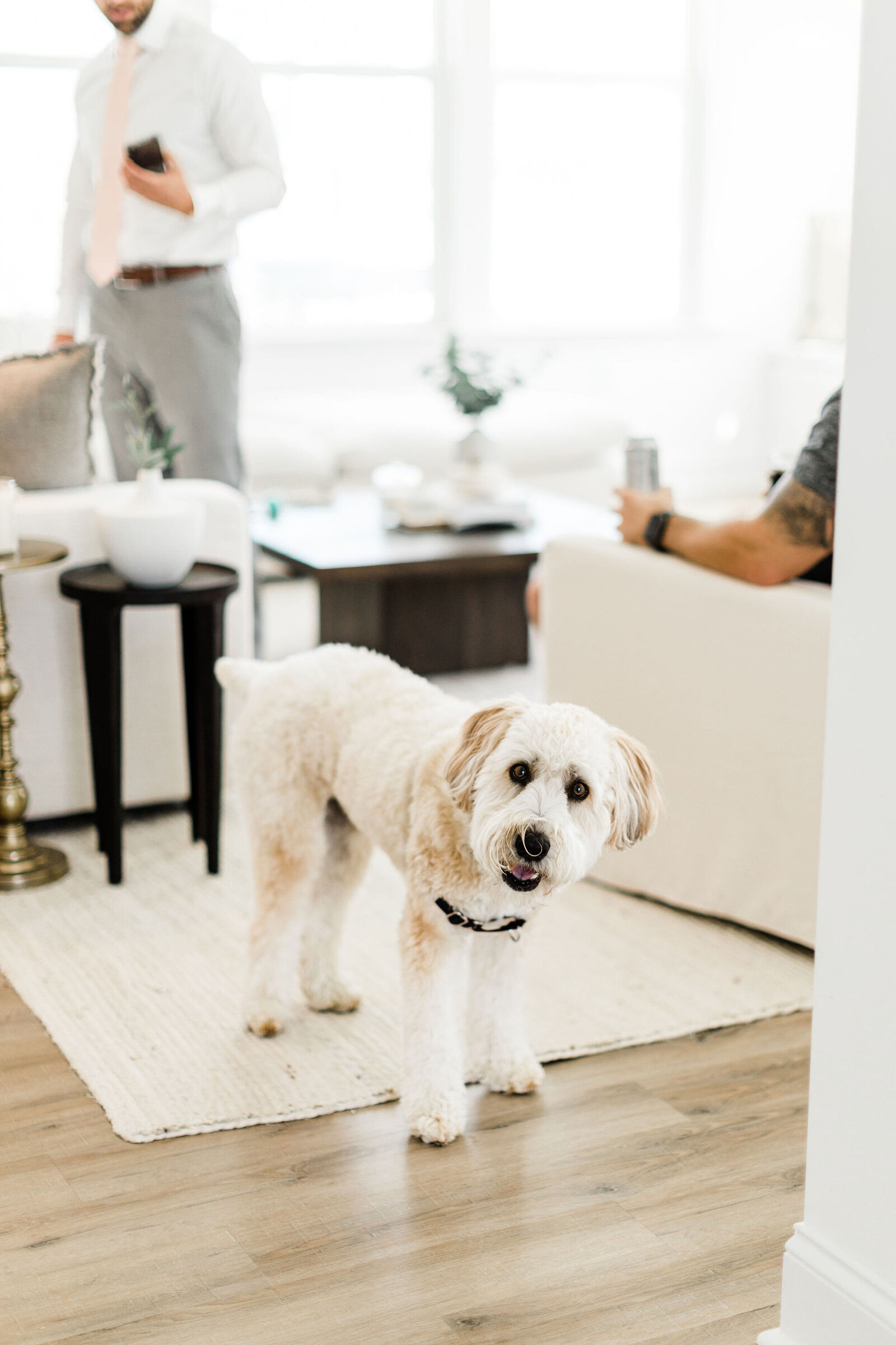 Dressed up Dogs on a Wedding Day | Raleigh NC | The Axtells Photo and Film