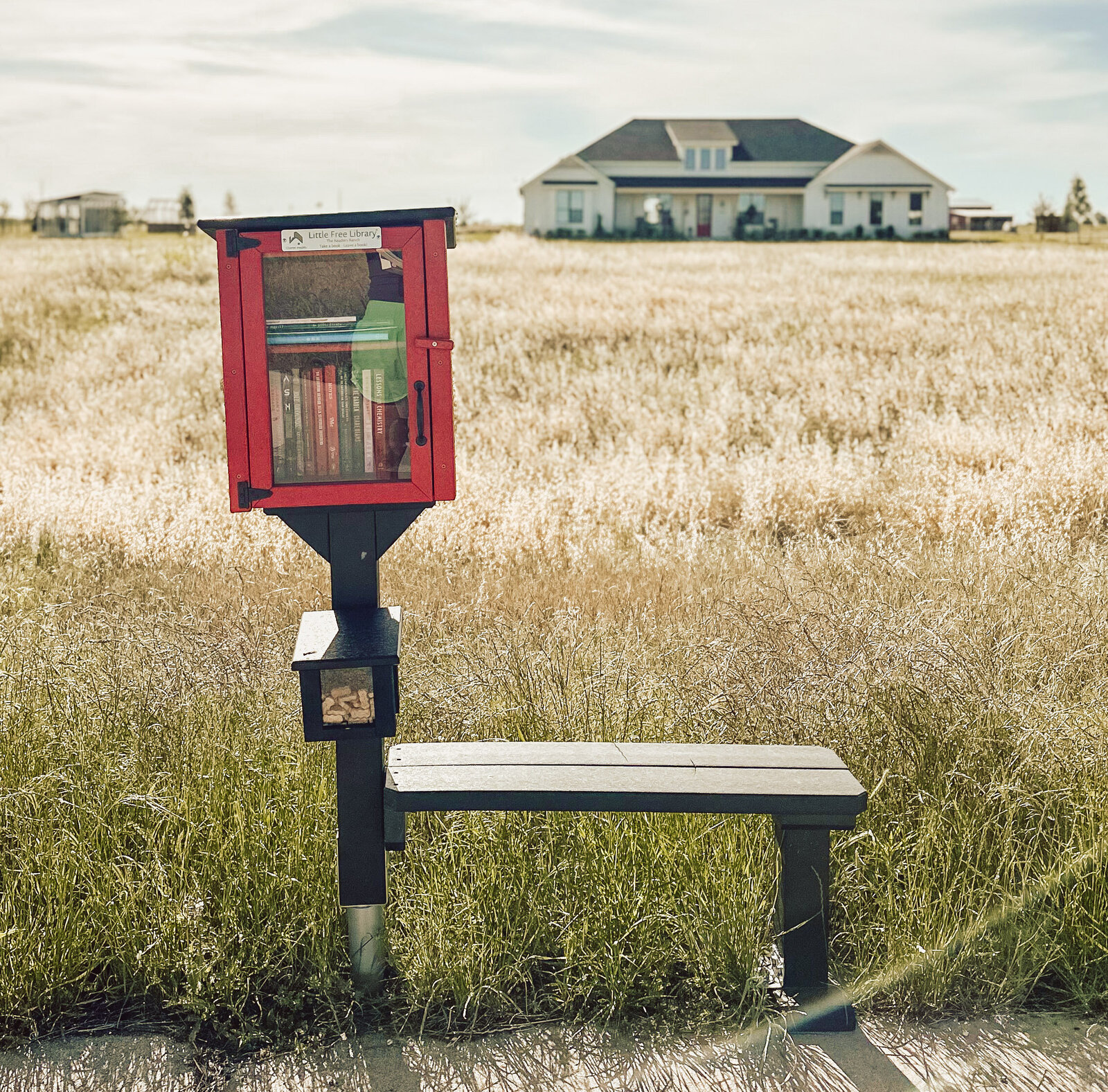 Little Free Library in Front of House