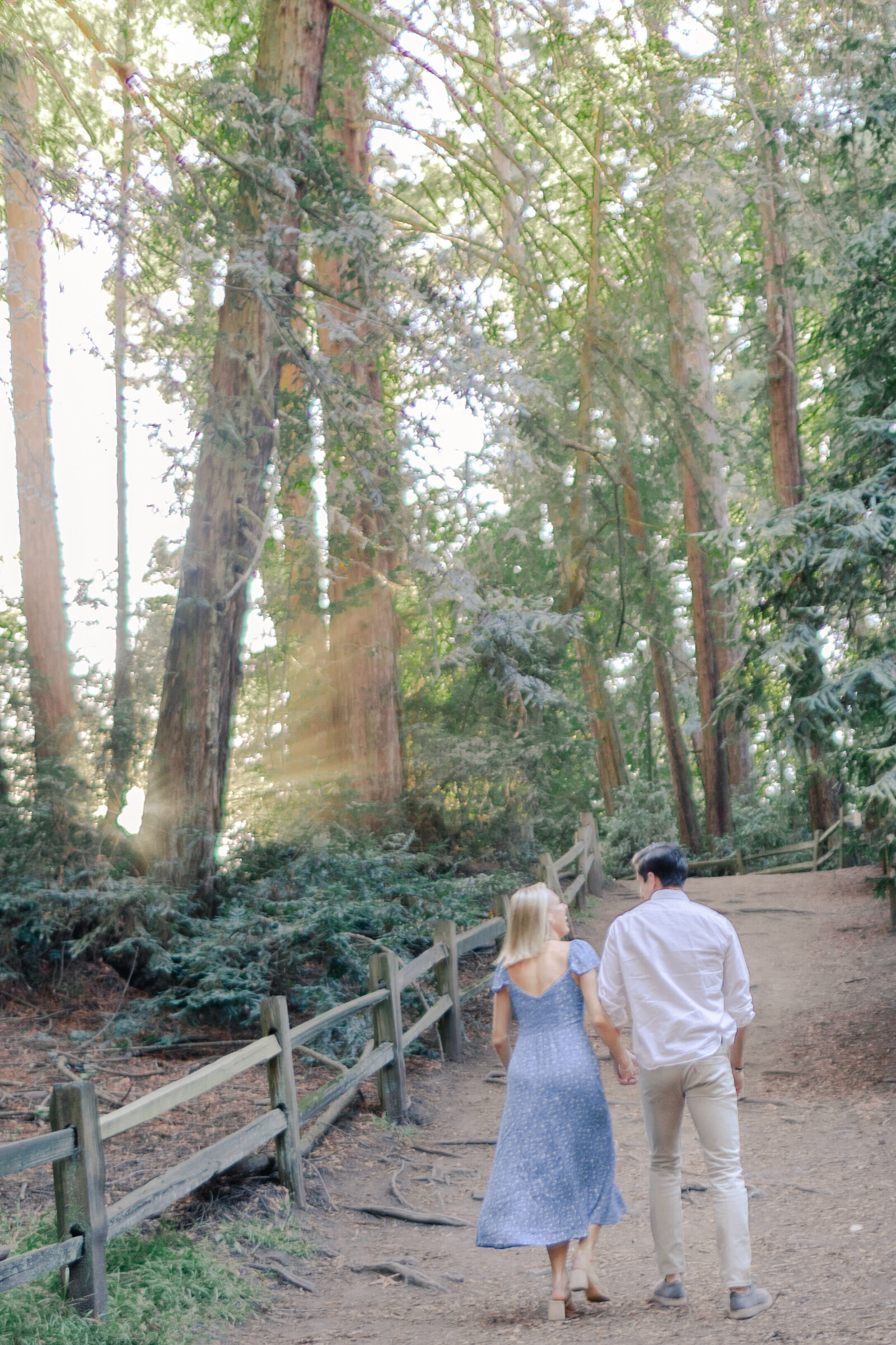 Redwoods-Orinda-California-Engagment-Photos_0040